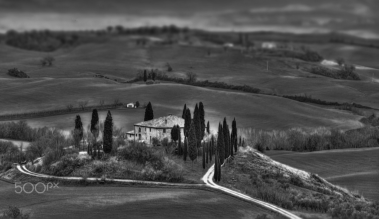 Nikon D3X sample photo. Belvedere photography