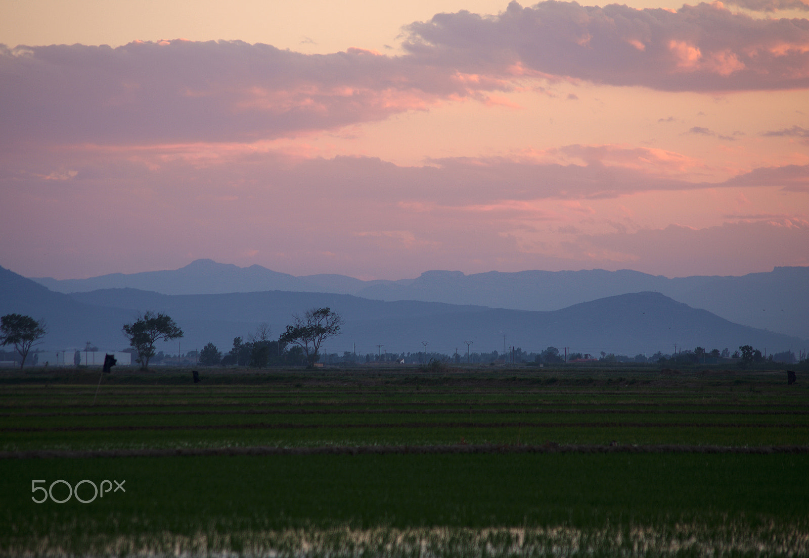 Pentax K-5 IIs sample photo. Ebro delta 1 photography