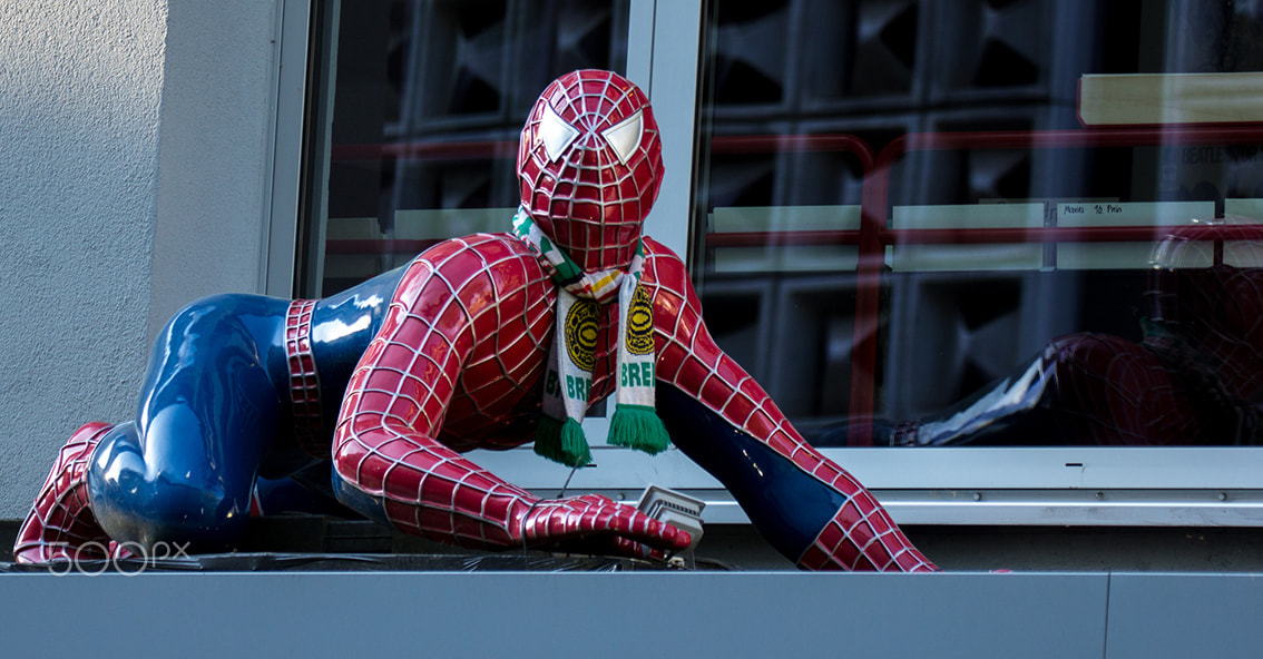 150-600mm F5-6.3 DG OS HSM | Contemporary 015 sample photo. Spiderman's visit to bremen :-) photography
