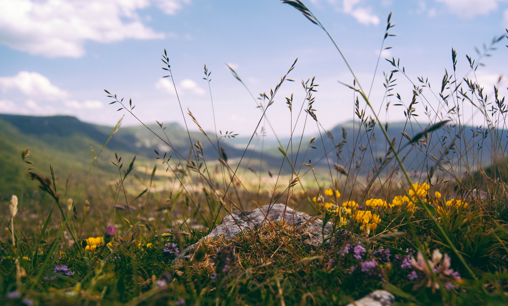 Sony Alpha DSLR-A230 + Sony DT 18-55mm F3.5-5.6 SAM sample photo. Terraza photography