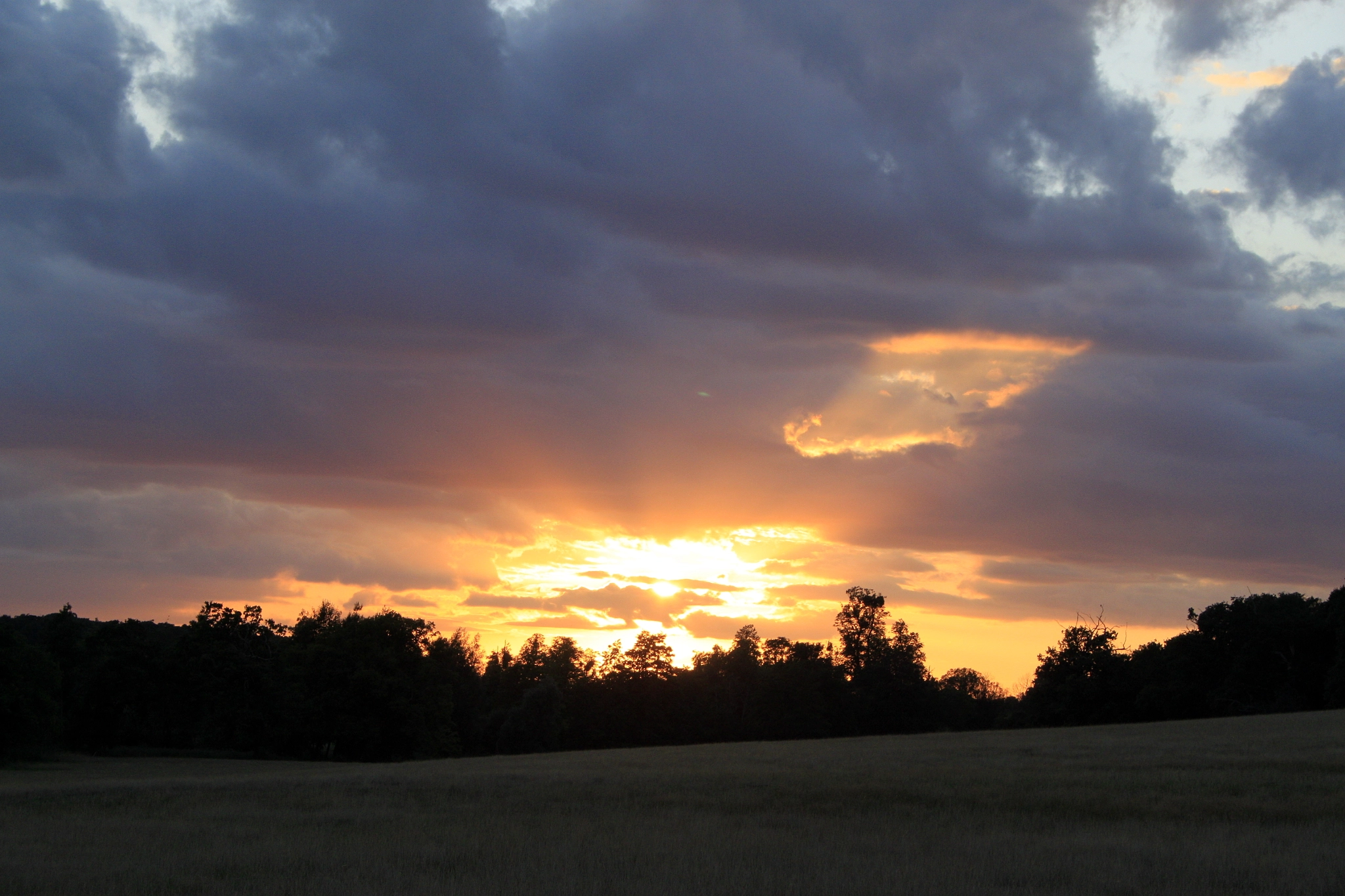 Canon EF-S 18-55mm F3.5-5.6 sample photo. Sun blaze photography