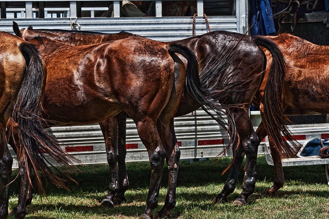 Canon EOS-1D Mark III sample photo. The lineup photography
