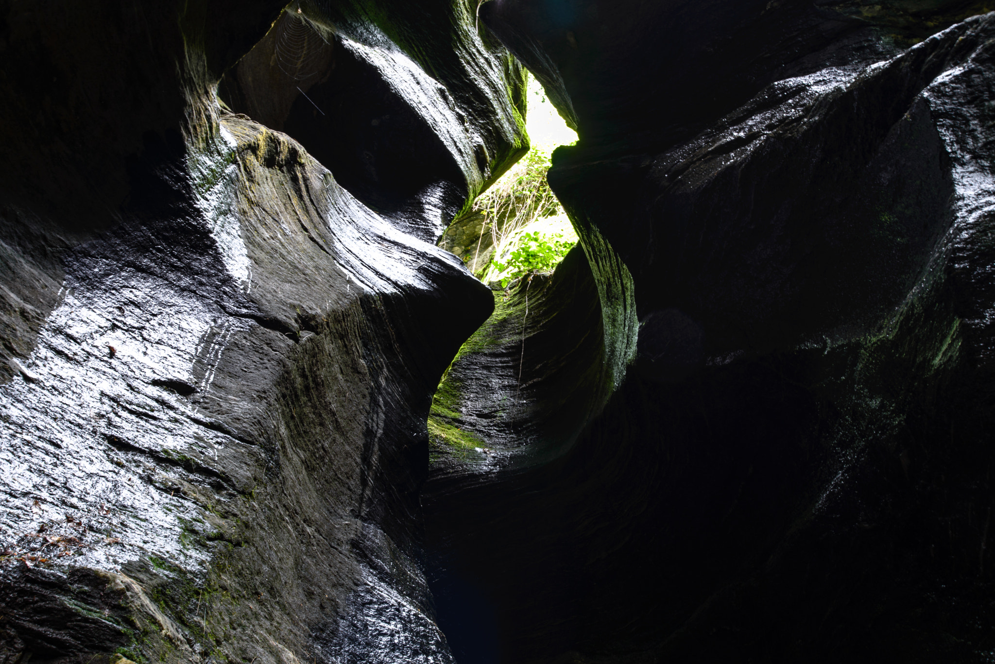 Nikon D600 sample photo. Orridi di uriezzo photography