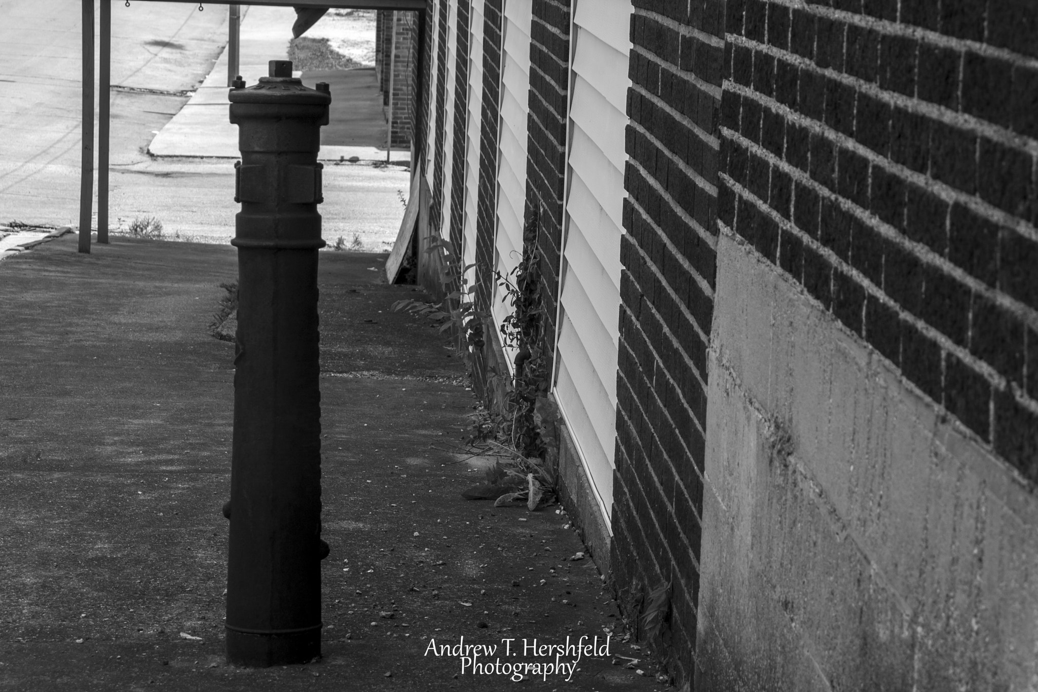 Canon EF 28-80mm f/3.5-5.6 sample photo. Sidewalk photography