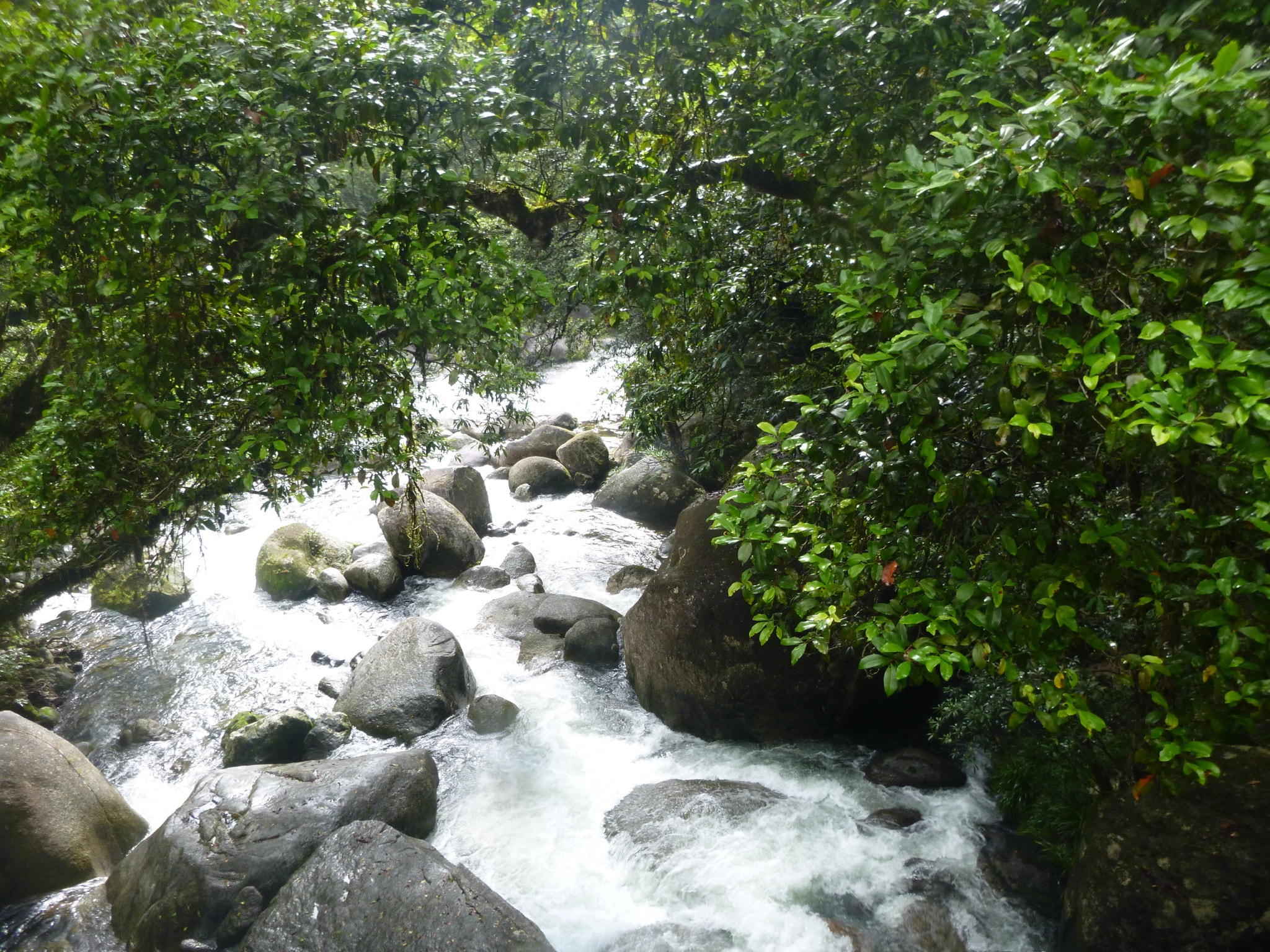 Panasonic DMC-FT30 sample photo. Mossman gorge- port douglas photography