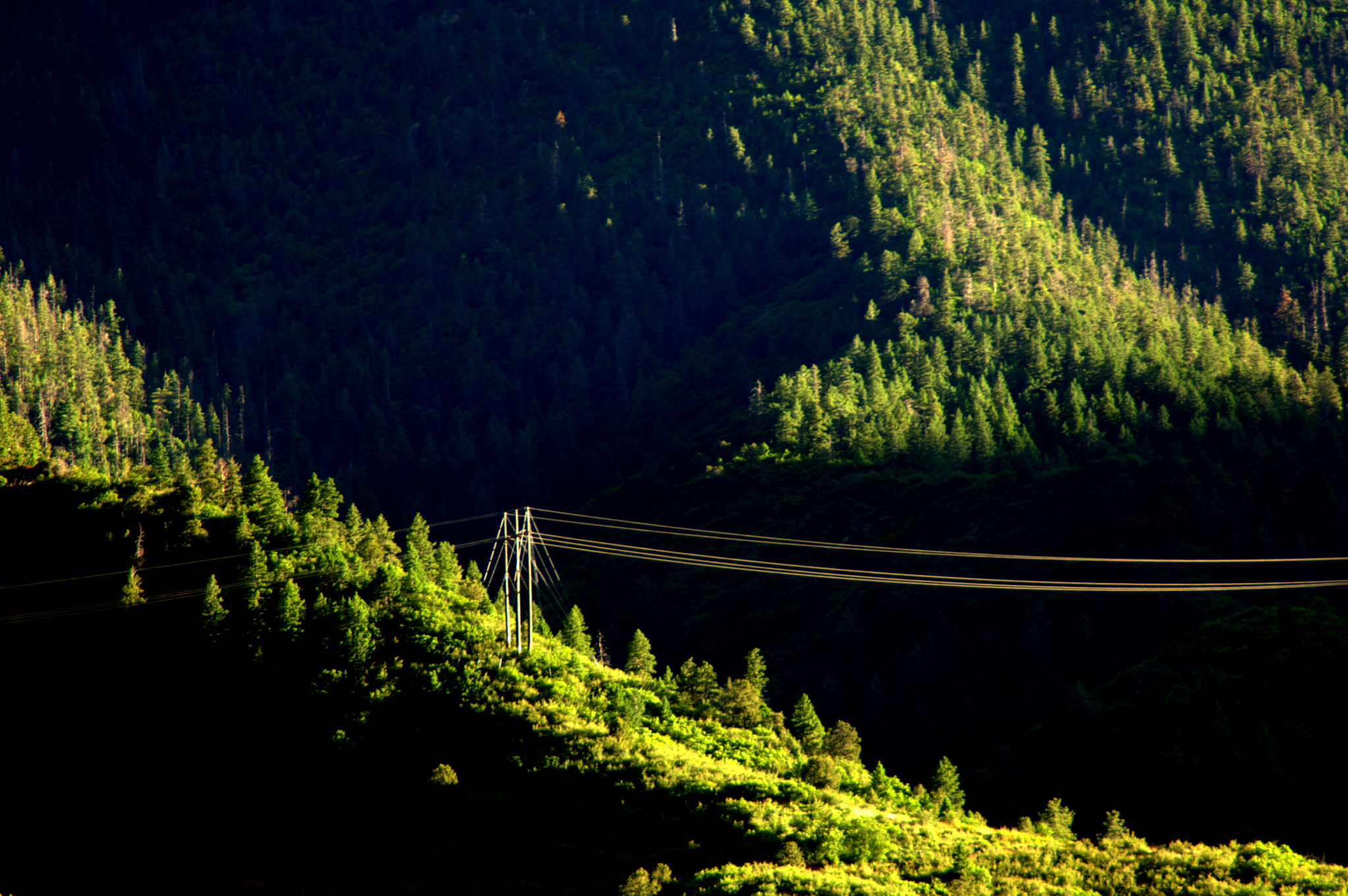 Nikon D2X sample photo. Wired photography