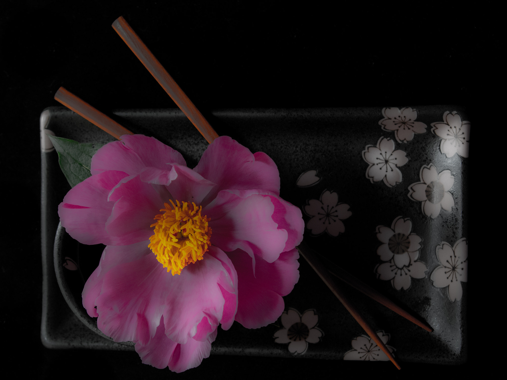 Pentax smc DA 18-55mm F3.5-5.6 AL sample photo.  peony sushi soft photography