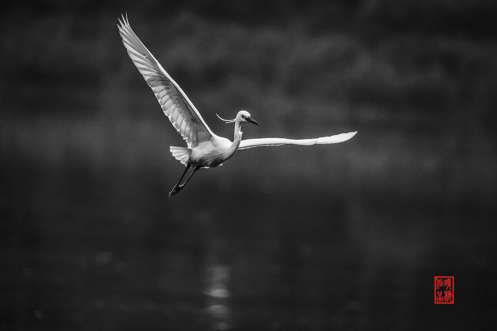 Sigma 150-600mm F5-6.3 DG OS HSM | C sample photo