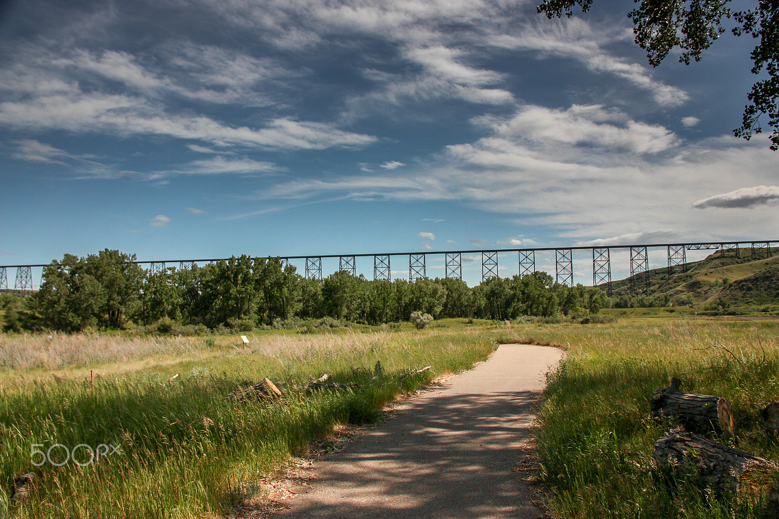 Canon EOS 450D (EOS Rebel XSi / EOS Kiss X2) + Canon EF-S 18-135mm F3.5-5.6 IS sample photo. Lethbridge viaduct photography