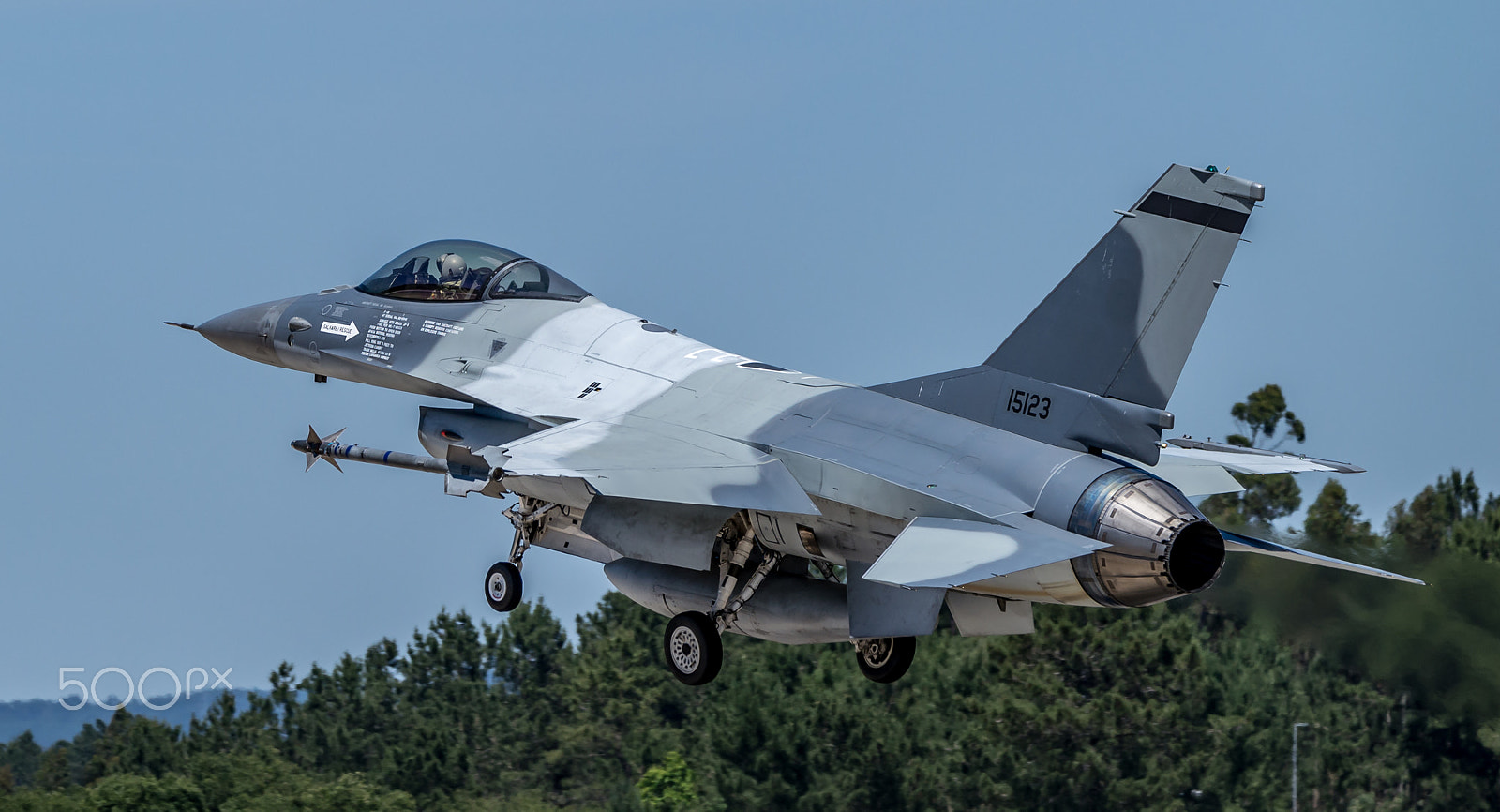 Sigma 150-600mm F5-6.3 DG OS HSM | C sample photo. Romanian f-16 photography