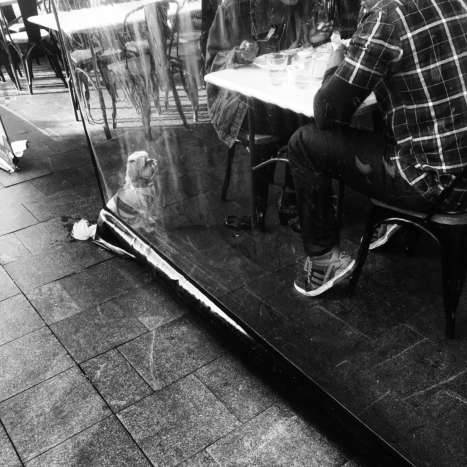 Apple iPhone8,1 sample photo. Lunch time photography