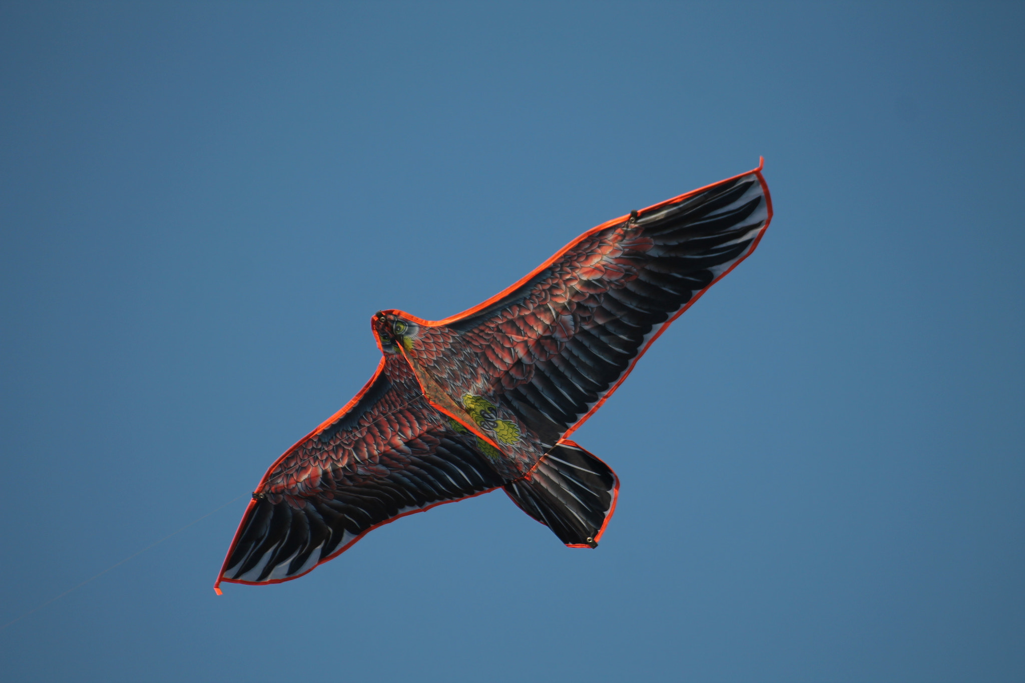 Sigma 70-300mm F4-5.6 APO DG Macro sample photo. Kite photography