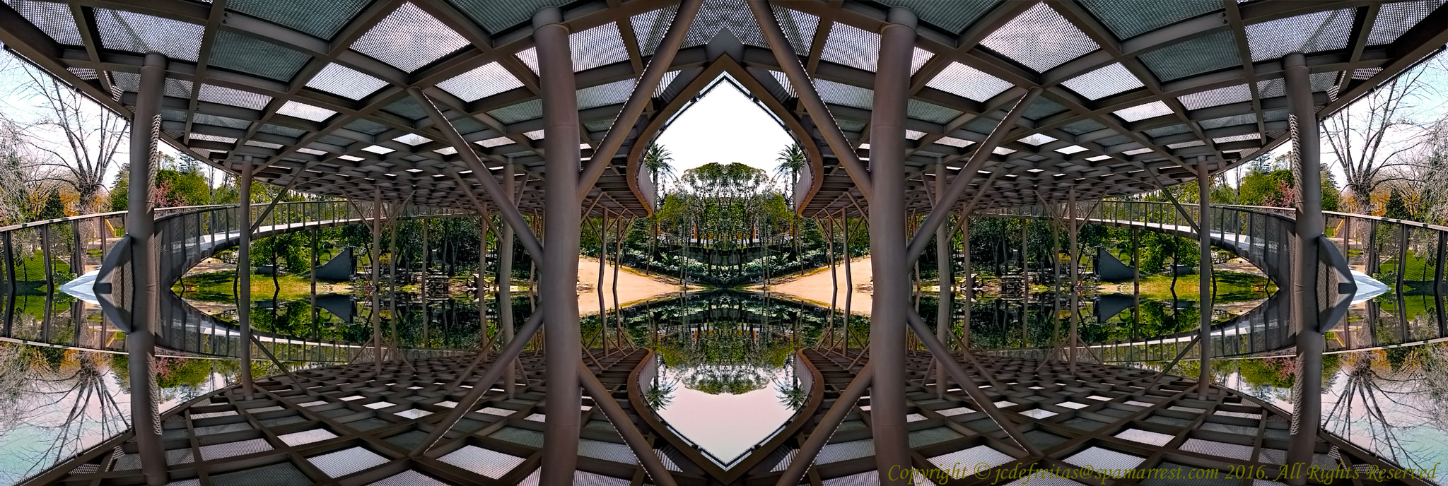 Canon EF 8-15mm F4L Fisheye USM sample photo. Parque infante dom pedro photography