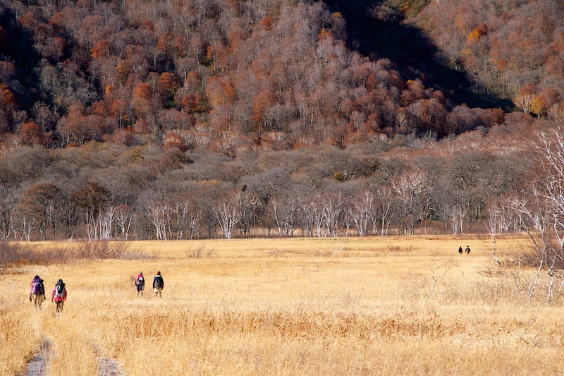 Pentax K-7 sample photo. Walk in pair photography