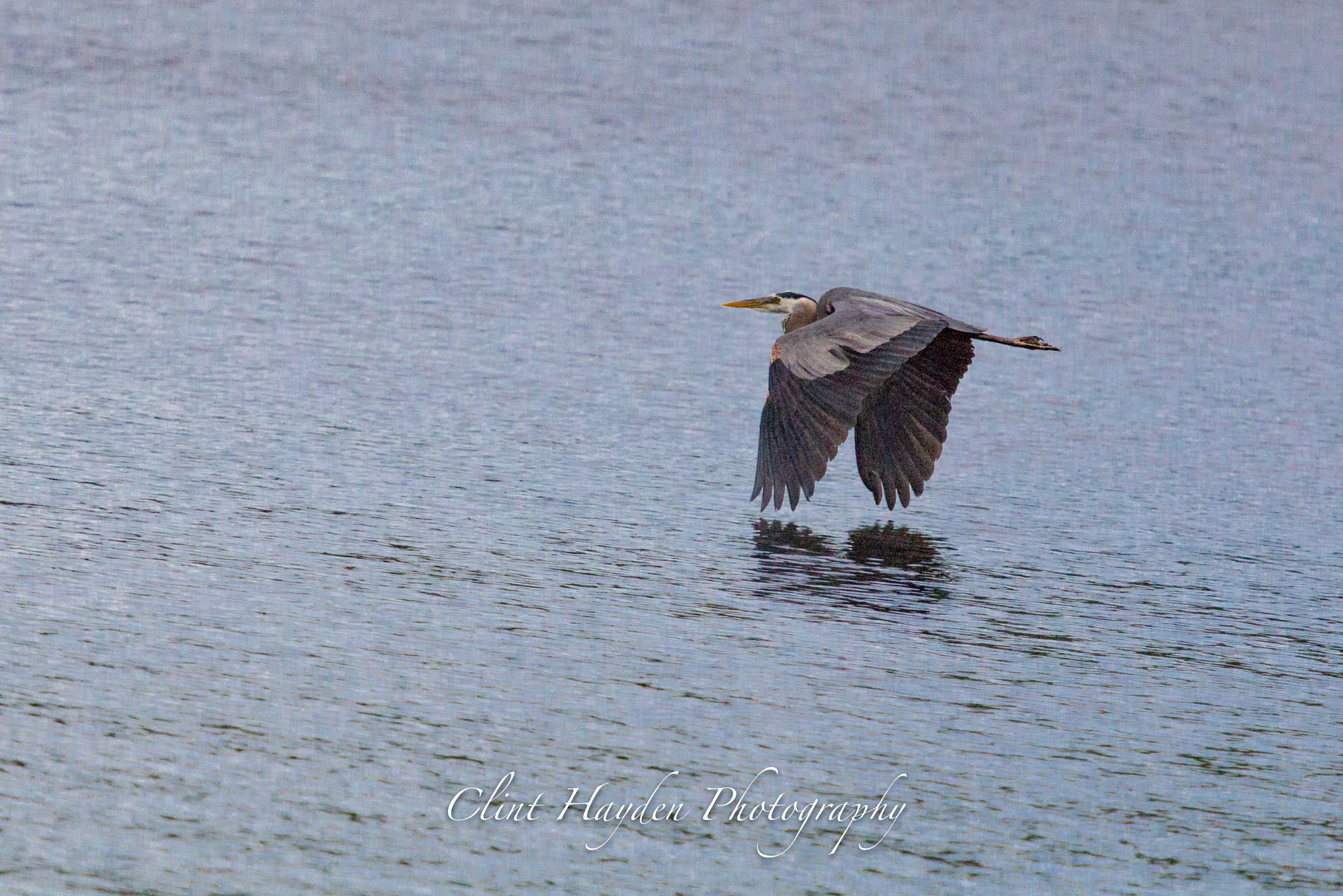 Canon EF 100-400mm F4.5-5.6L IS USM sample photo. Untitled photography