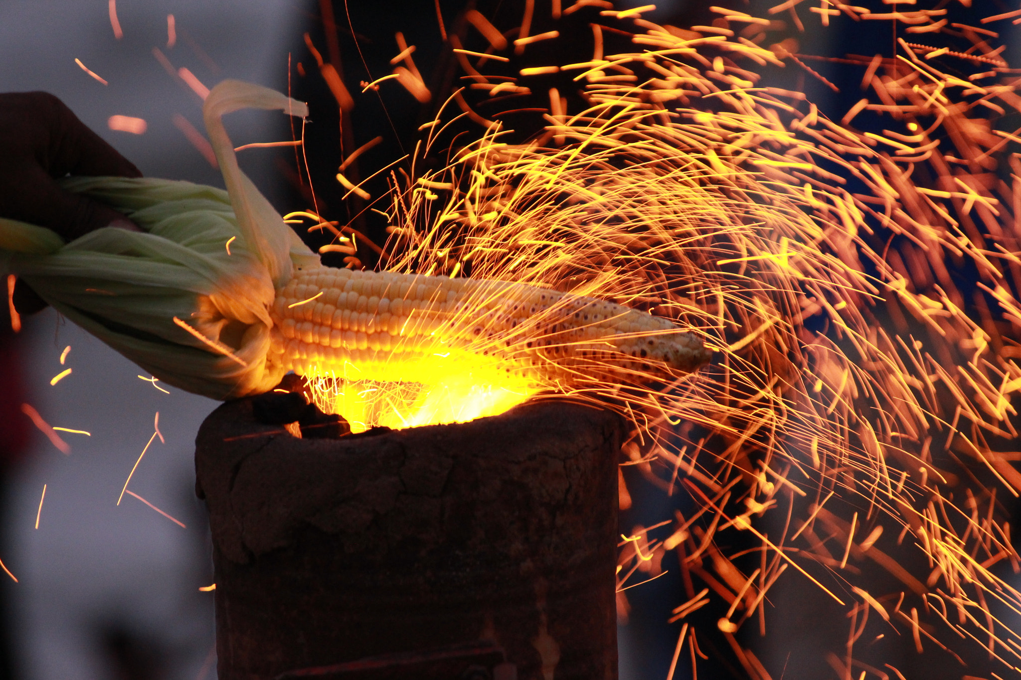 Sigma 50-200mm F4-5.6 DC OS HSM sample photo. Corn fire photography