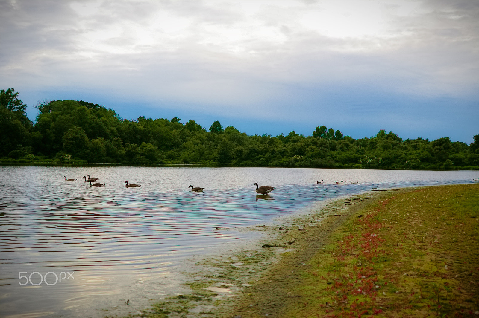 Pentax K110D sample photo. The soft twilight photography