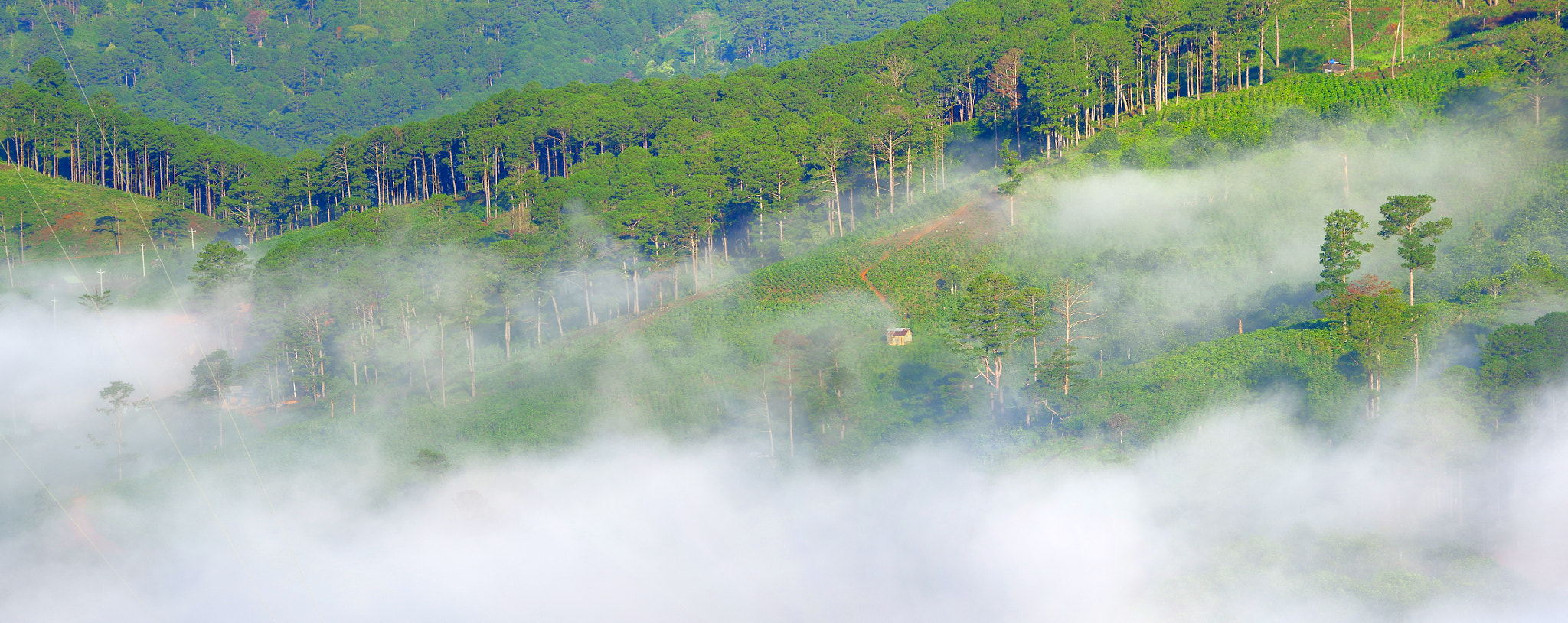 Pentax K-3 + Pentax smc DA 55-300mm F4.0-5.8 ED sample photo. Da sar photography