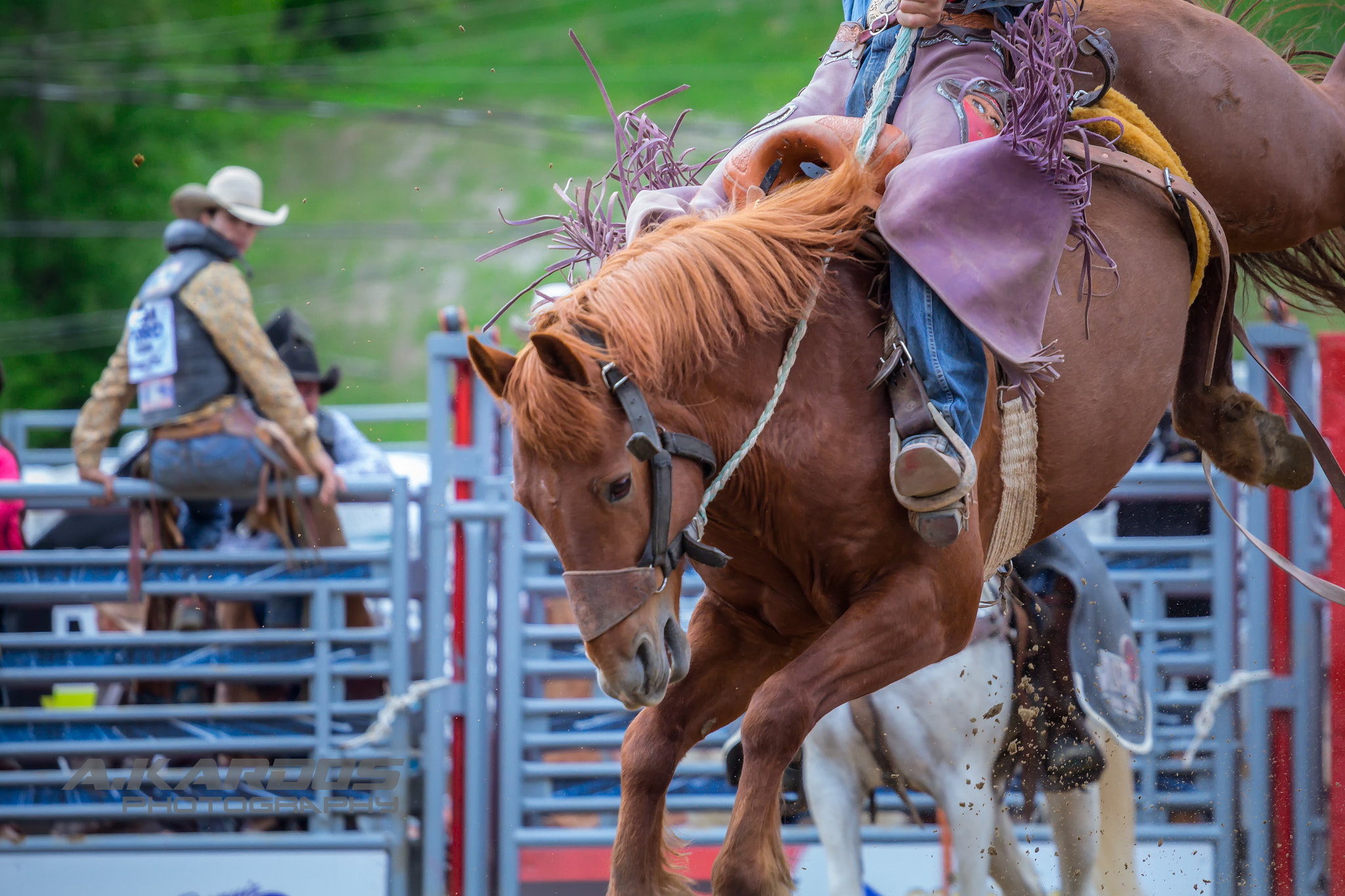 Canon EOS 700D (EOS Rebel T5i / EOS Kiss X7i) + Canon EF 70-200mm F4L USM sample photo. It's rodeo time ! rodéo fest de val saint-côme 2016 photography