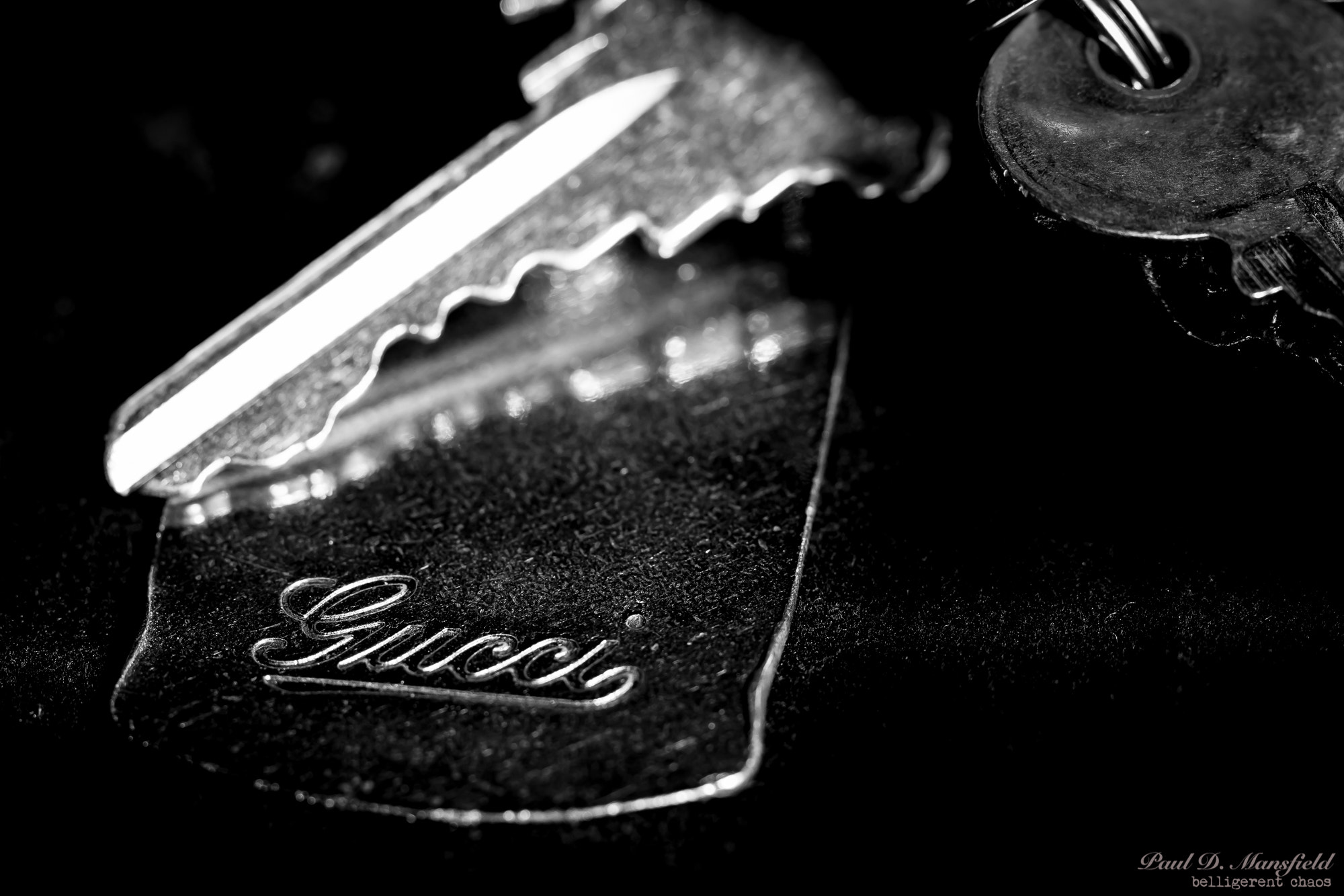 Canon EOS 760D (EOS Rebel T6s / EOS 8000D) sample photo. Keychain photography