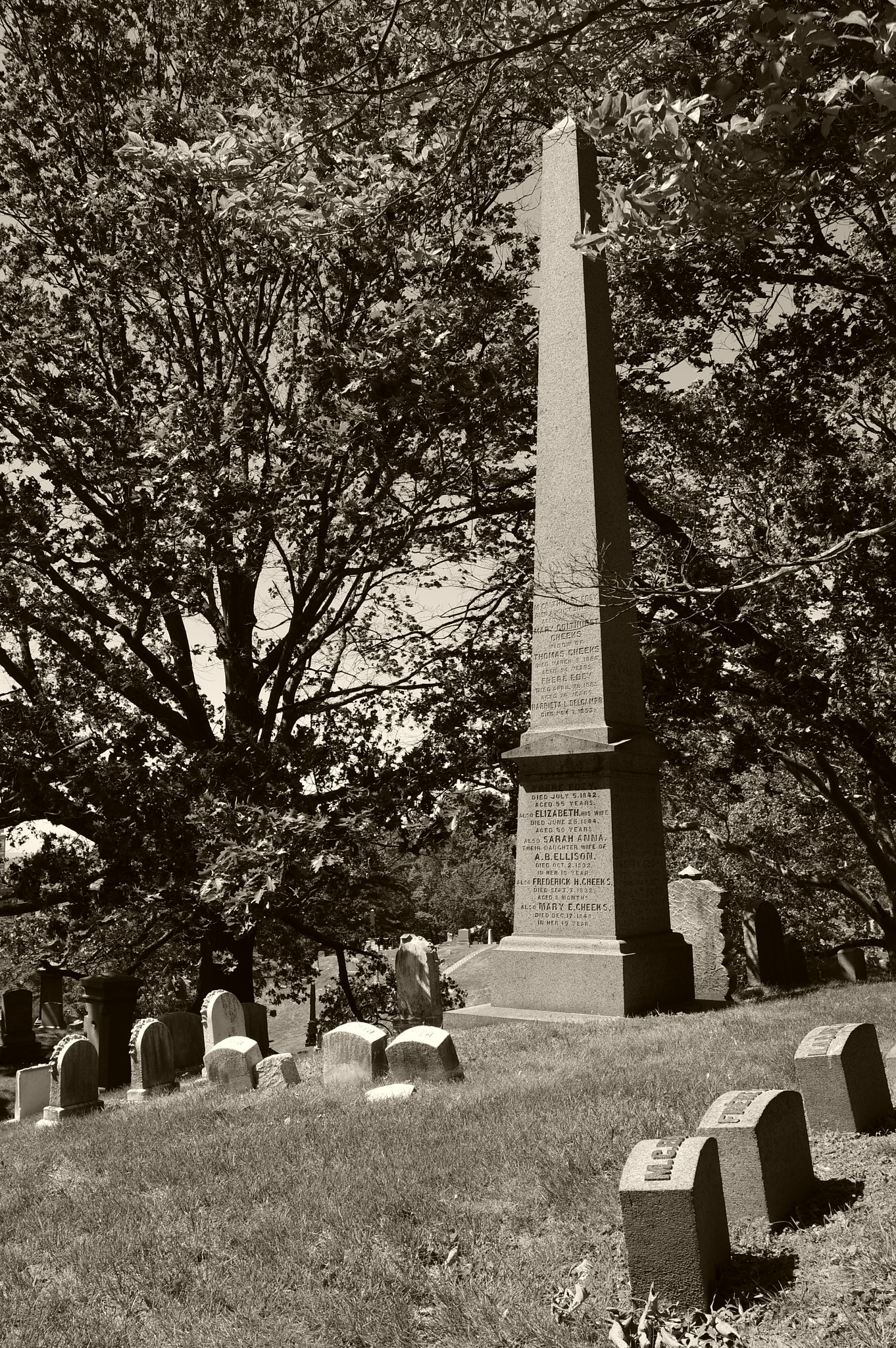 Pentax K-3 II sample photo. Historic cheeks - edey. 1832-1885 listed deaths. photography