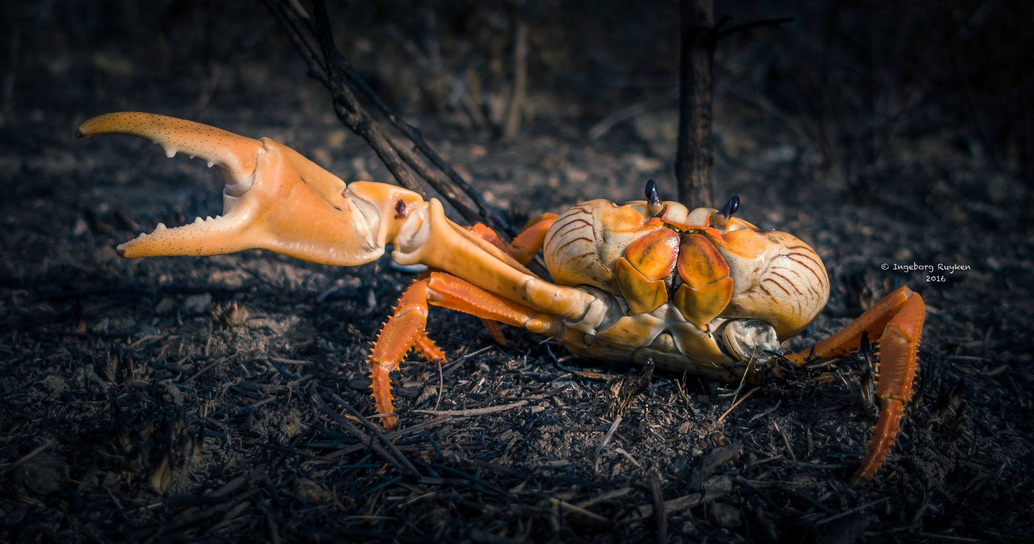 v2?sig=a0dd5e068ad934c379540d49120927843