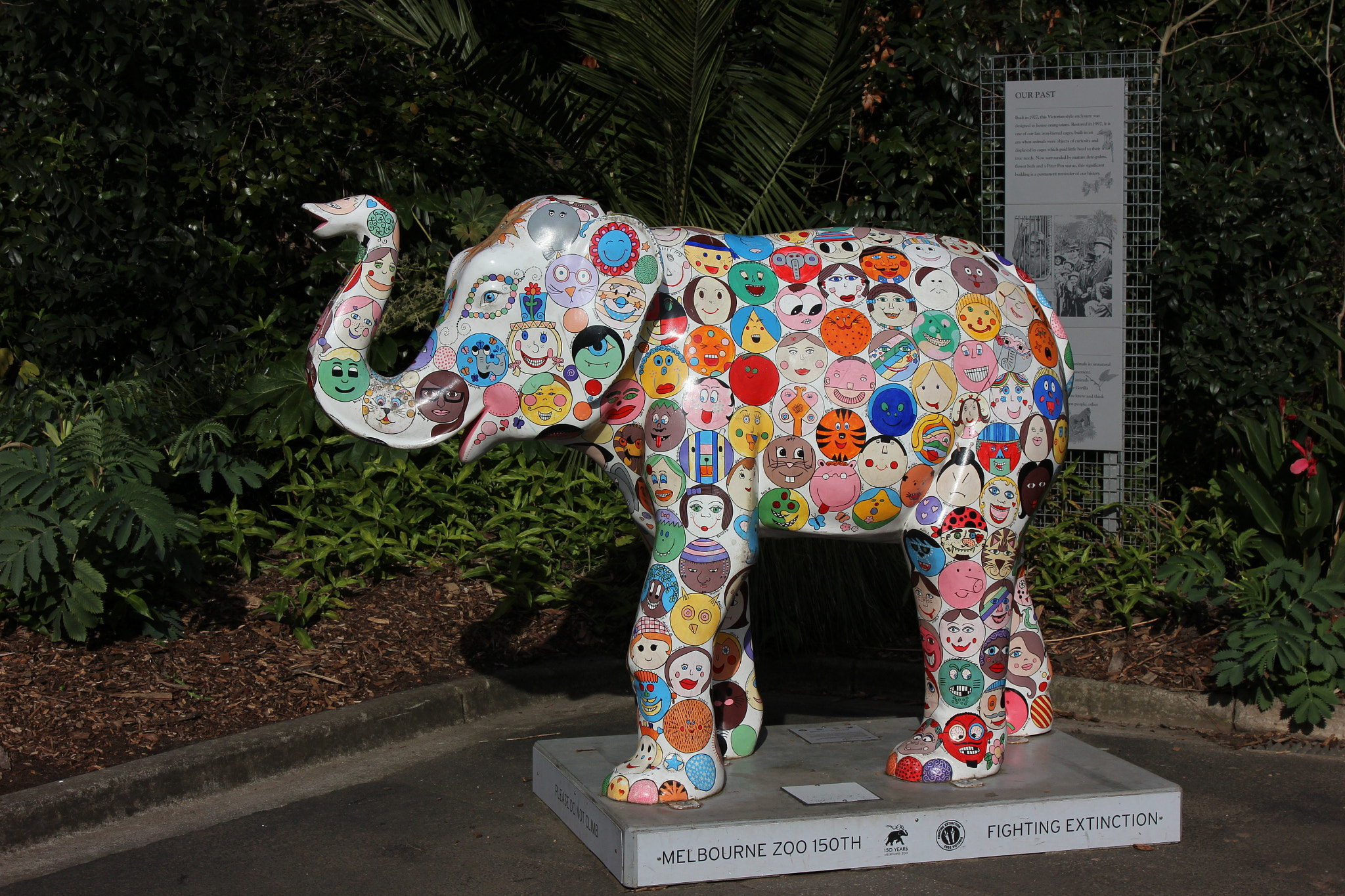 Canon EOS 600D (Rebel EOS T3i / EOS Kiss X5) sample photo. Elephant at melbourne zoo photography