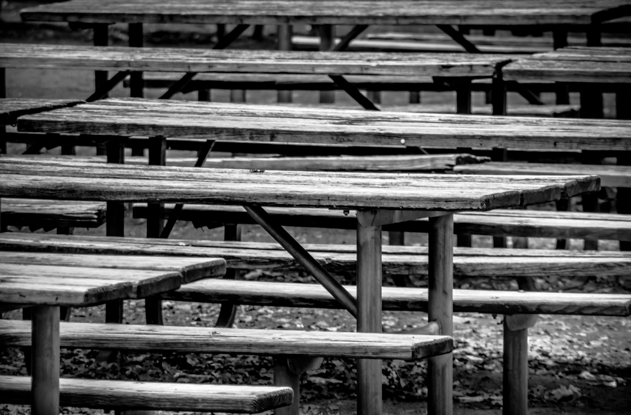 Canon EOS 650D (EOS Rebel T4i / EOS Kiss X6i) sample photo. Open benches photography