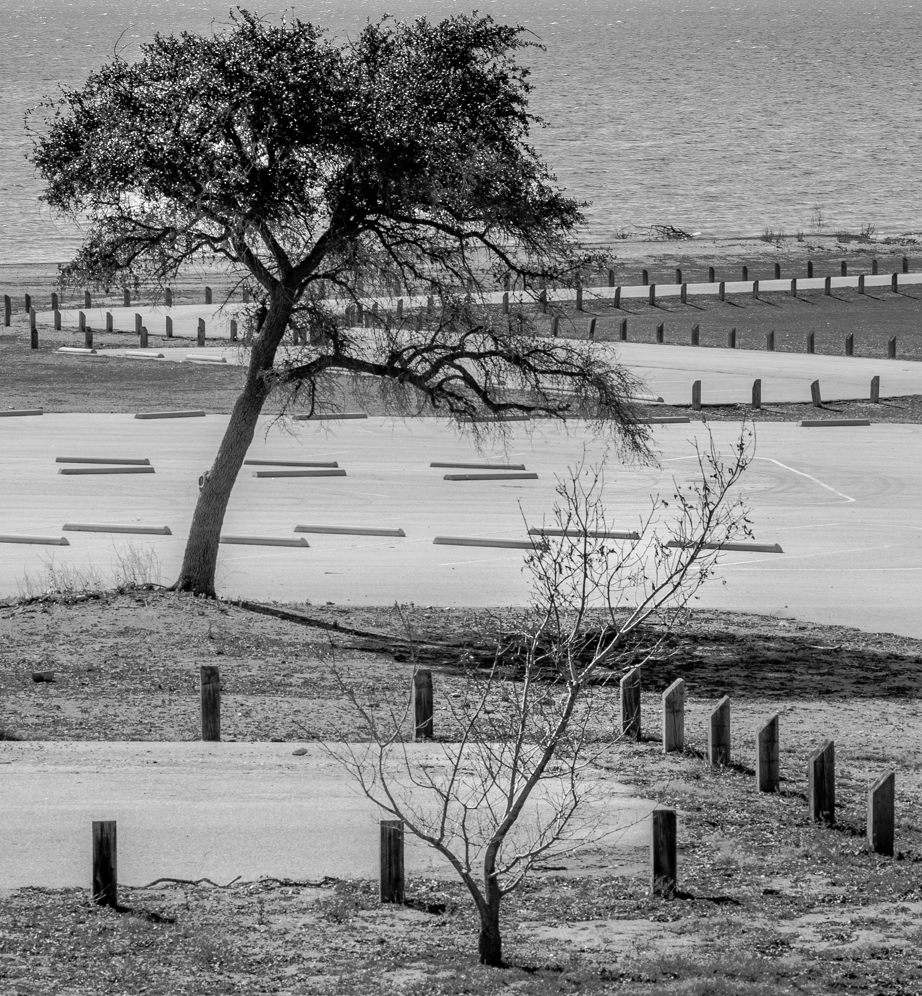 Sigma 70-300mm F4-5.6 APO DG Macro sample photo. Parking lot photography