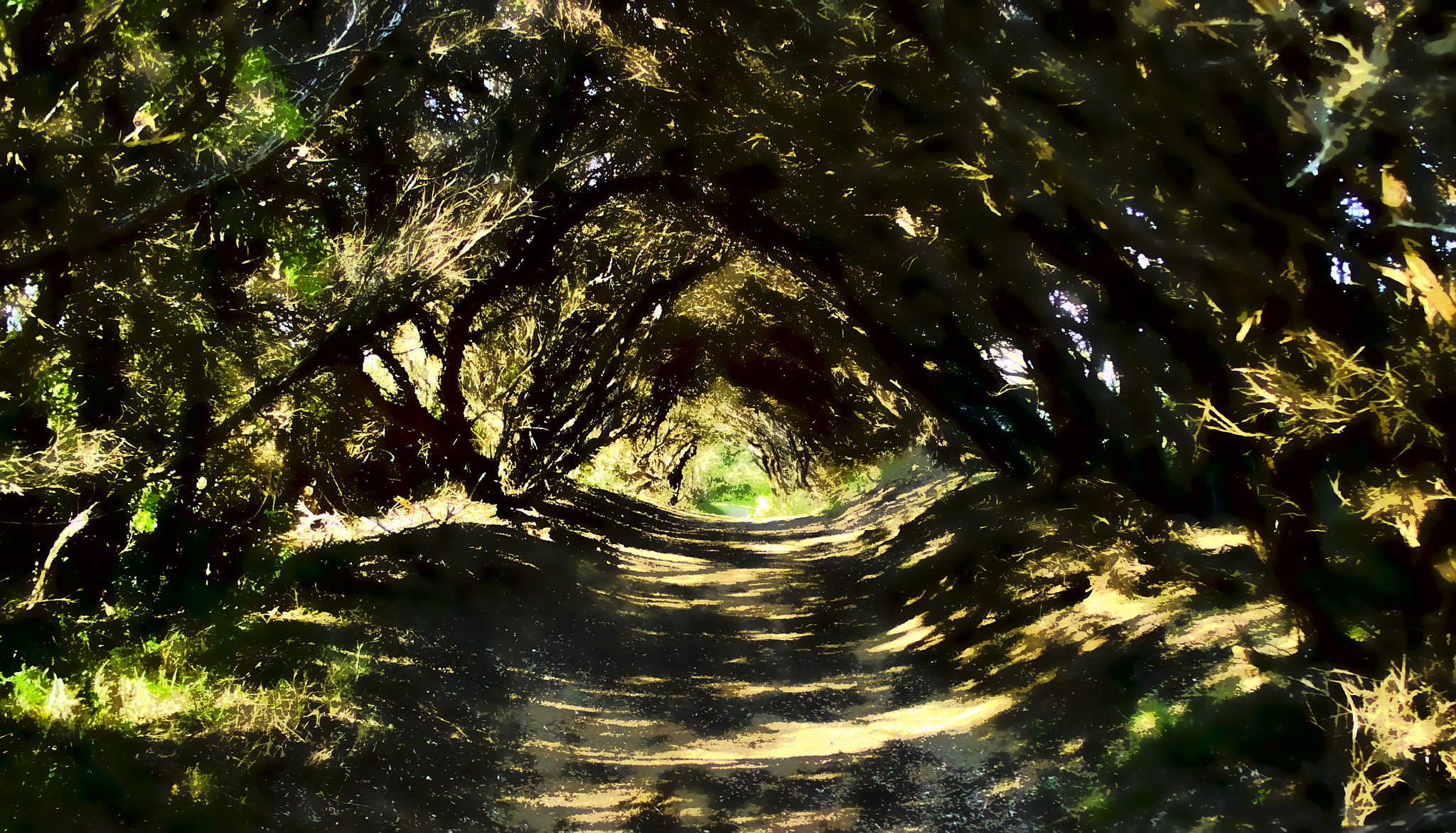 Canon EF-S 18-55mm F3.5-5.6 sample photo. Wonderland awaits photography