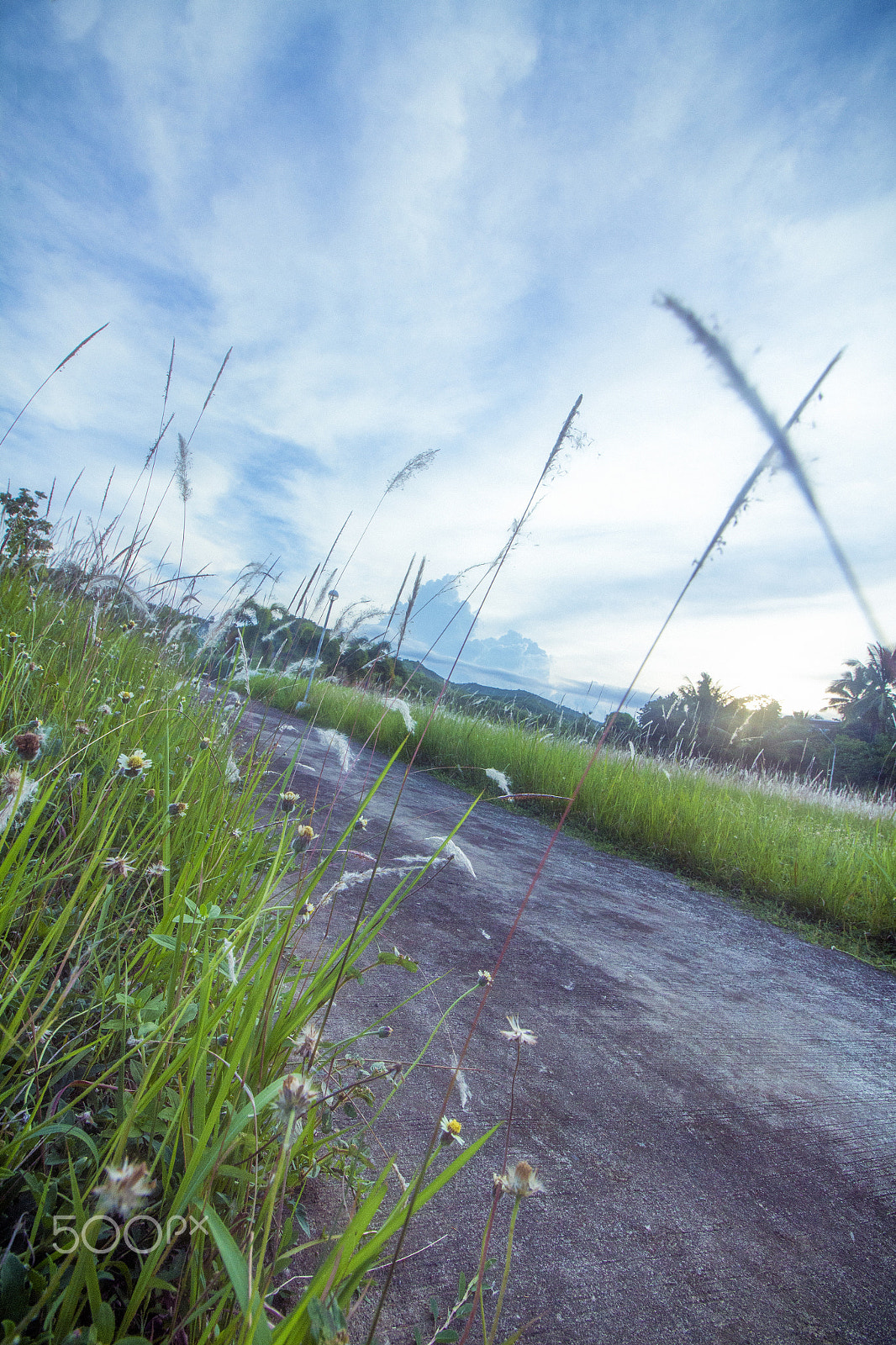 Canon EF-S 10-18mm F4.5–5.6 IS STM sample photo. Nature photography