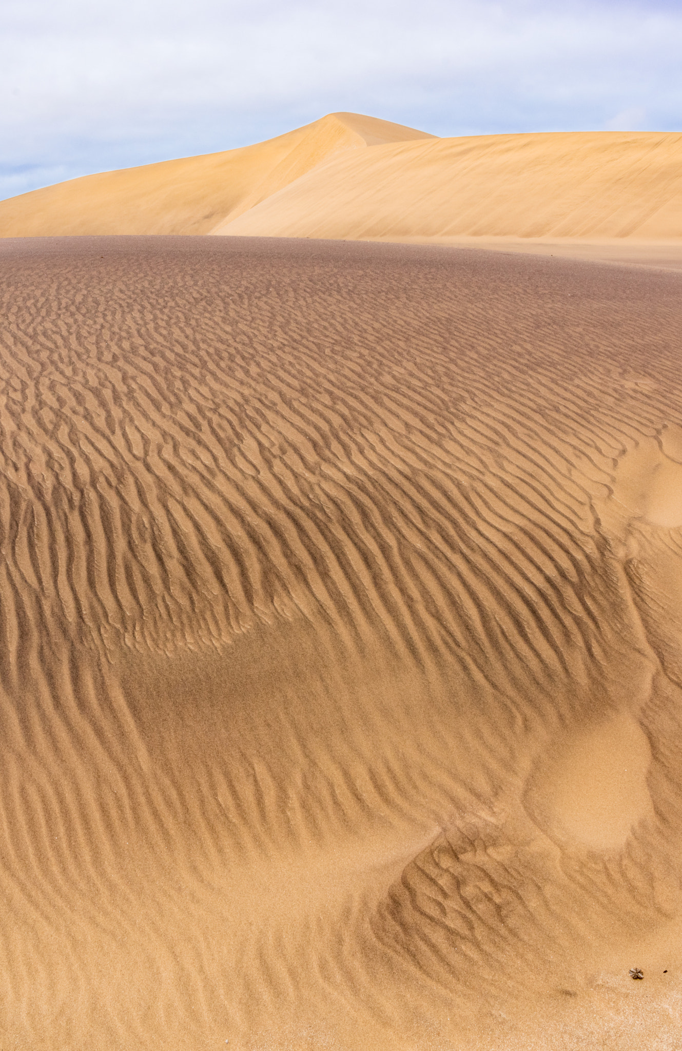 Pentax smc DA 21mm F3.2 AL Limited sample photo. Namib desert photography