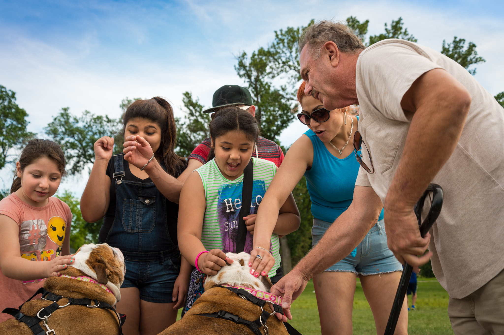 Nikon Df sample photo. Bulldogs photography