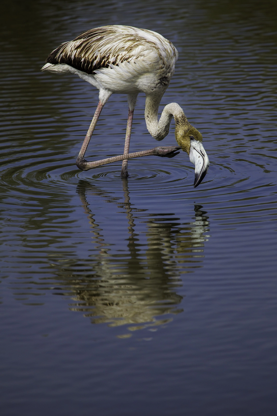 Canon EF 100-400mm F4.5-5.6L IS USM sample photo. Makeup photography