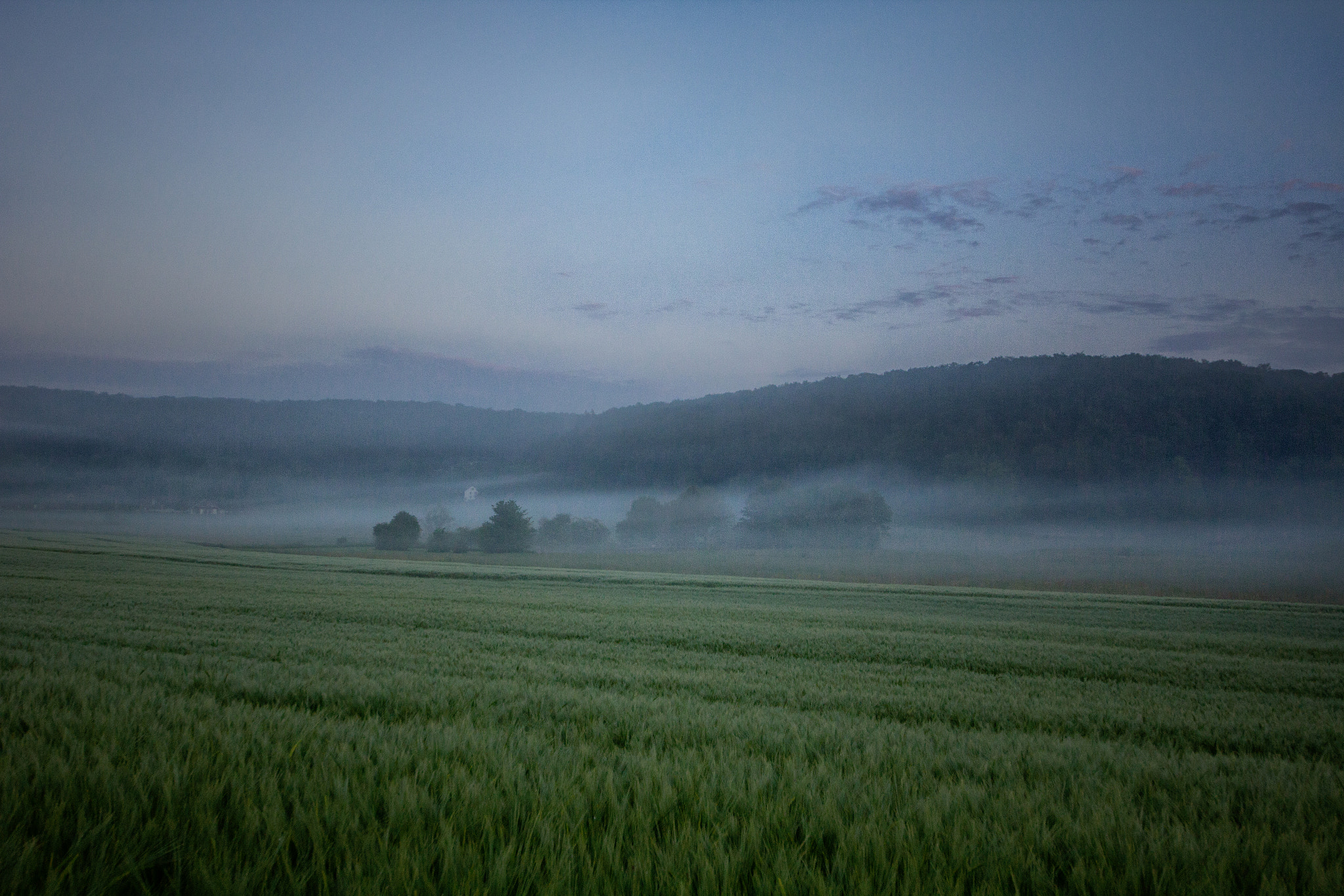 Sigma 12-24mm F4.5-5.6 II DG HSM sample photo. Coeuve brouillard photography