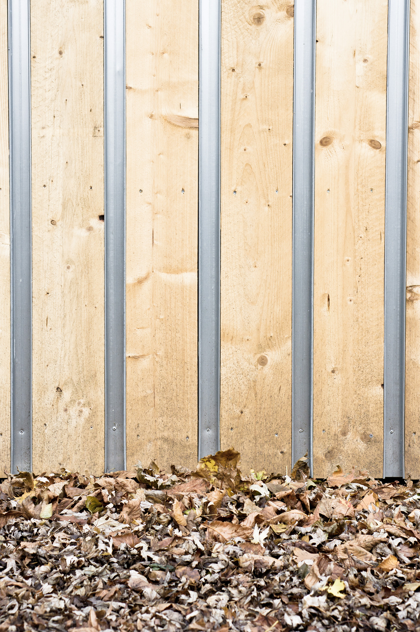 Sony Alpha NEX-5 + E 50mm F1.8 OSS sample photo. Wooden wall photography
