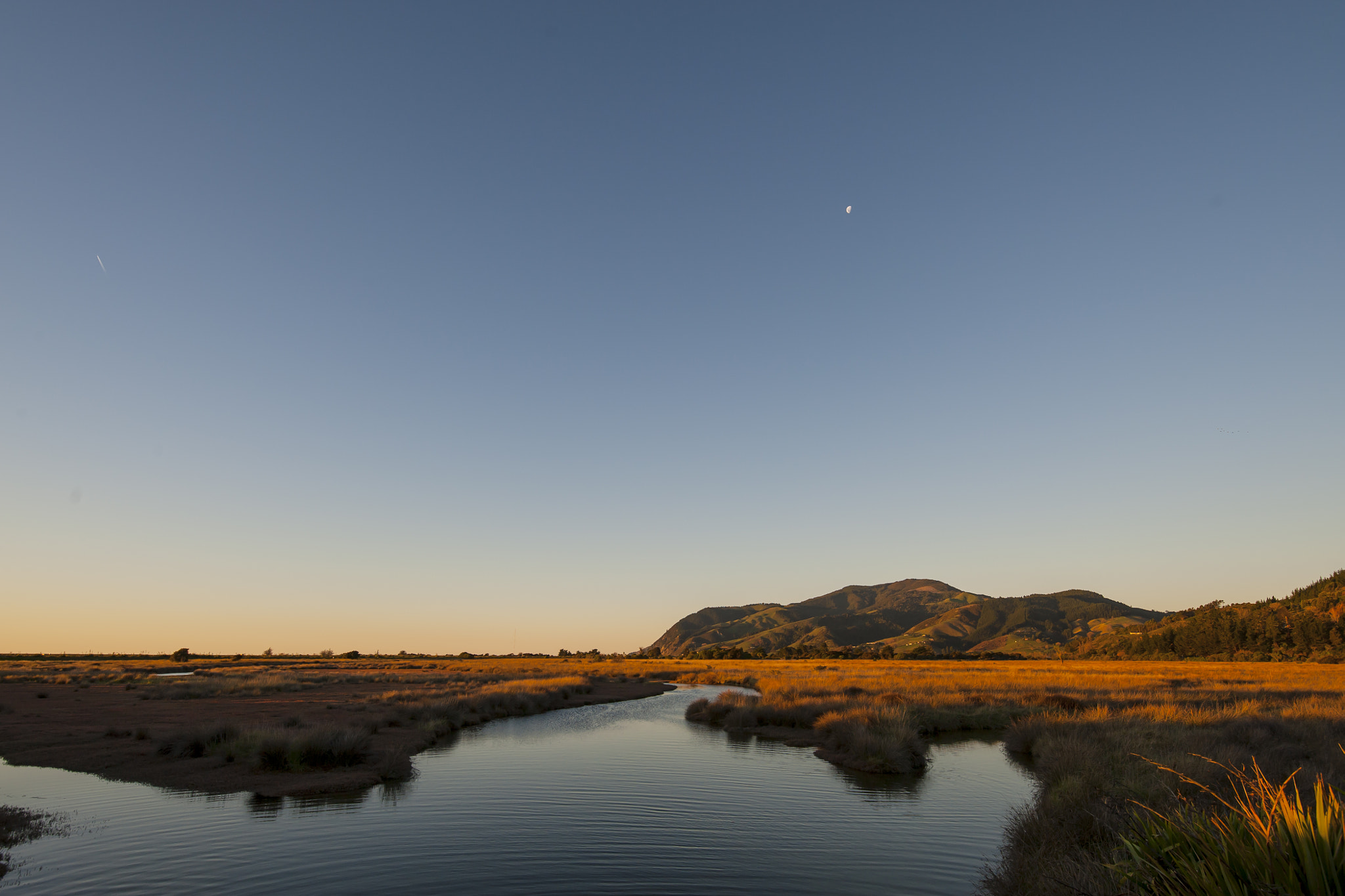 Tamron SP 15-30mm F2.8 Di VC USD sample photo. Nelson photography
