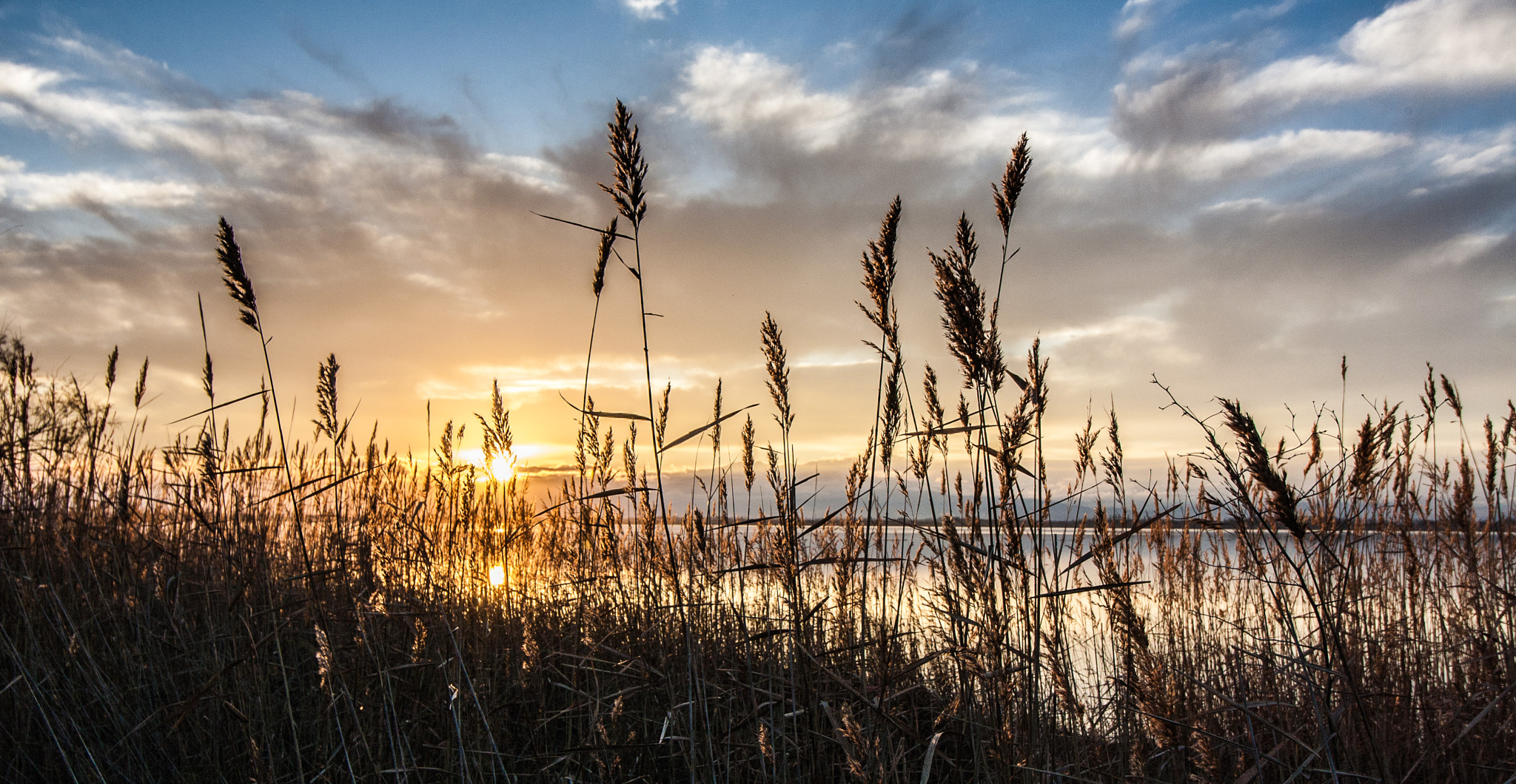 Canon EF-S 10-18mm F4.5–5.6 IS STM sample photo. Sunset. photography