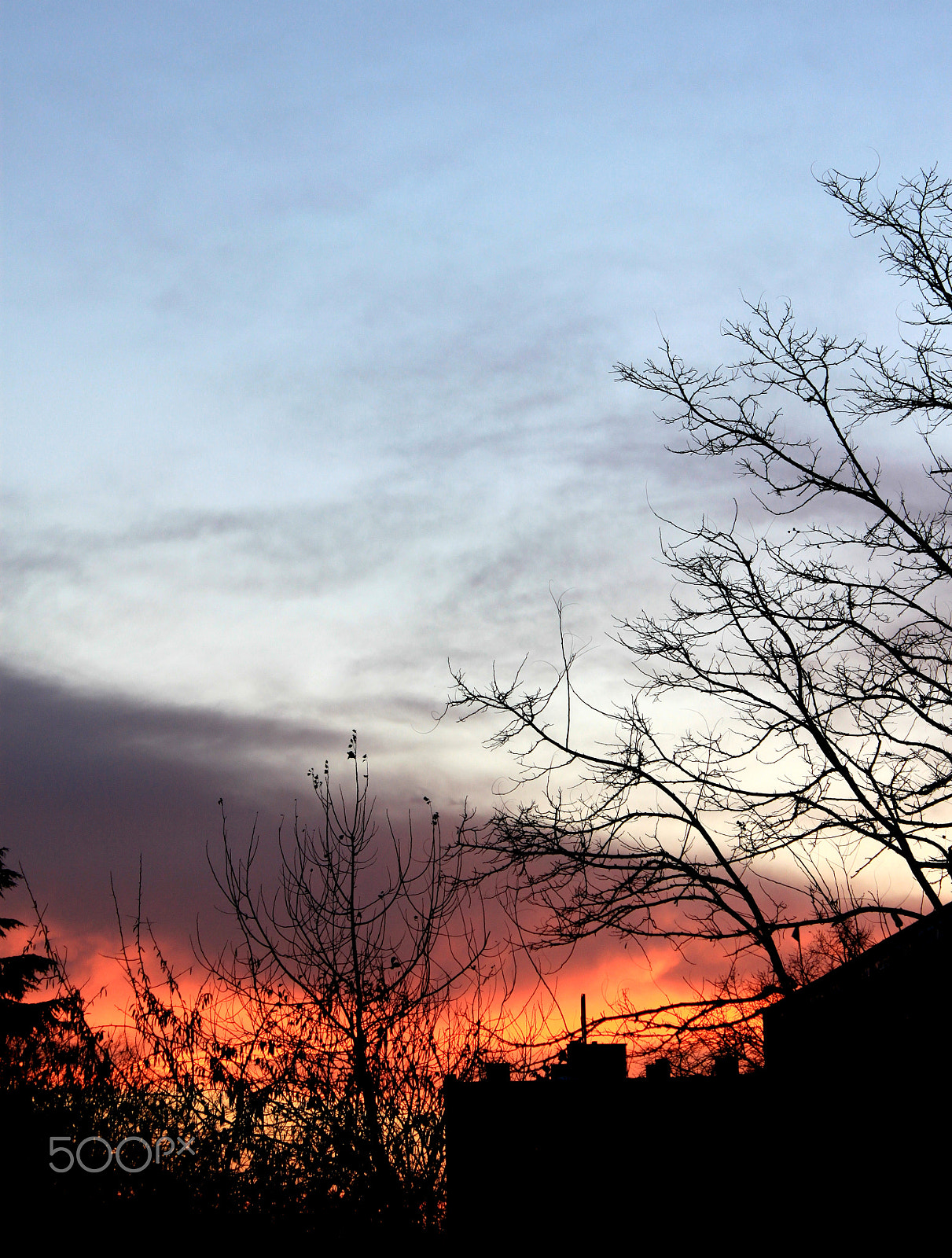 Canon EOS 500D (EOS Rebel T1i / EOS Kiss X3) sample photo. Burned photography