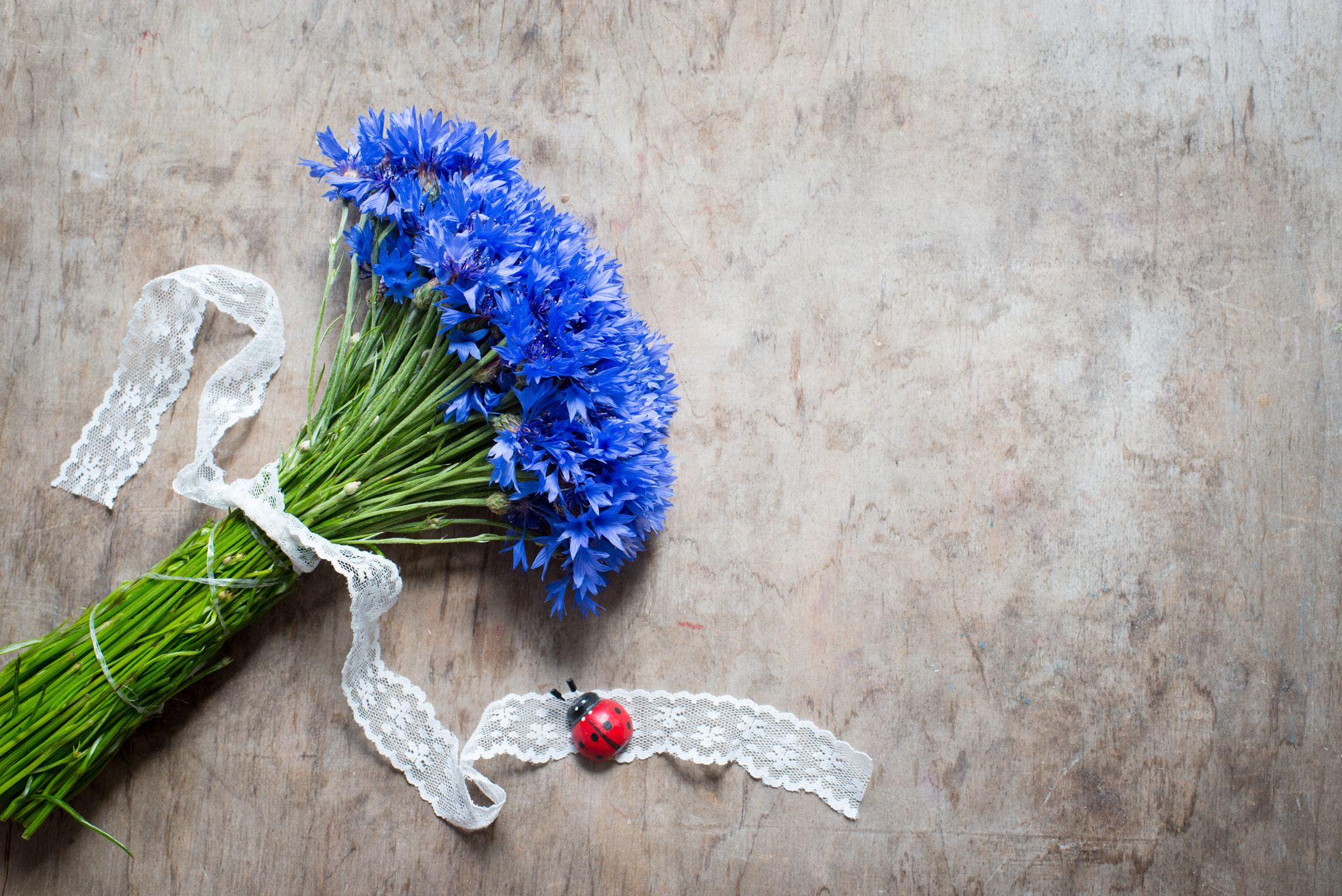 Nikon D800E + Nikon AF-S Nikkor 35mm F1.4G sample photo. Bouquet of  cornflowers photography