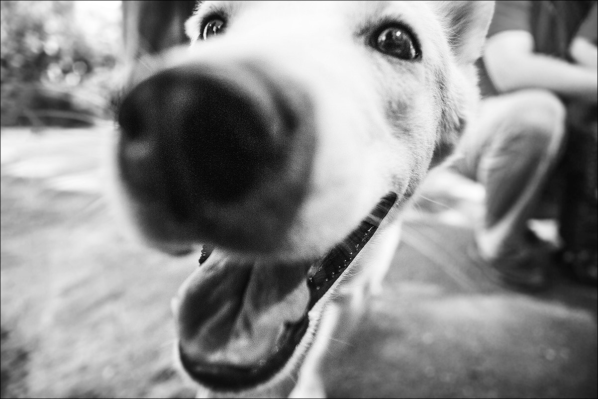 Nikon D300S sample photo. :) photography