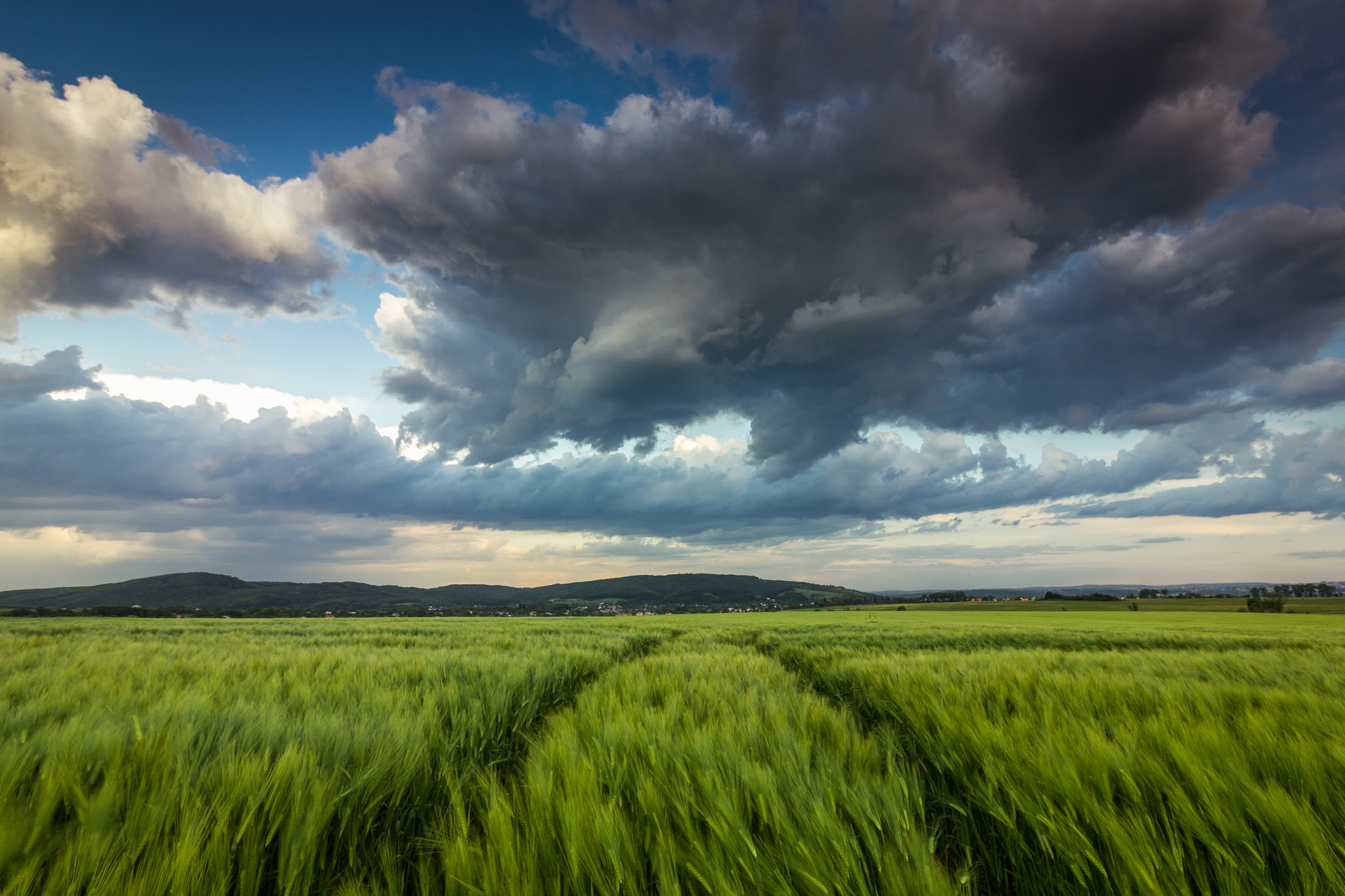 Canon EF-S 10-18mm F4.5–5.6 IS STM sample photo. After rain photography