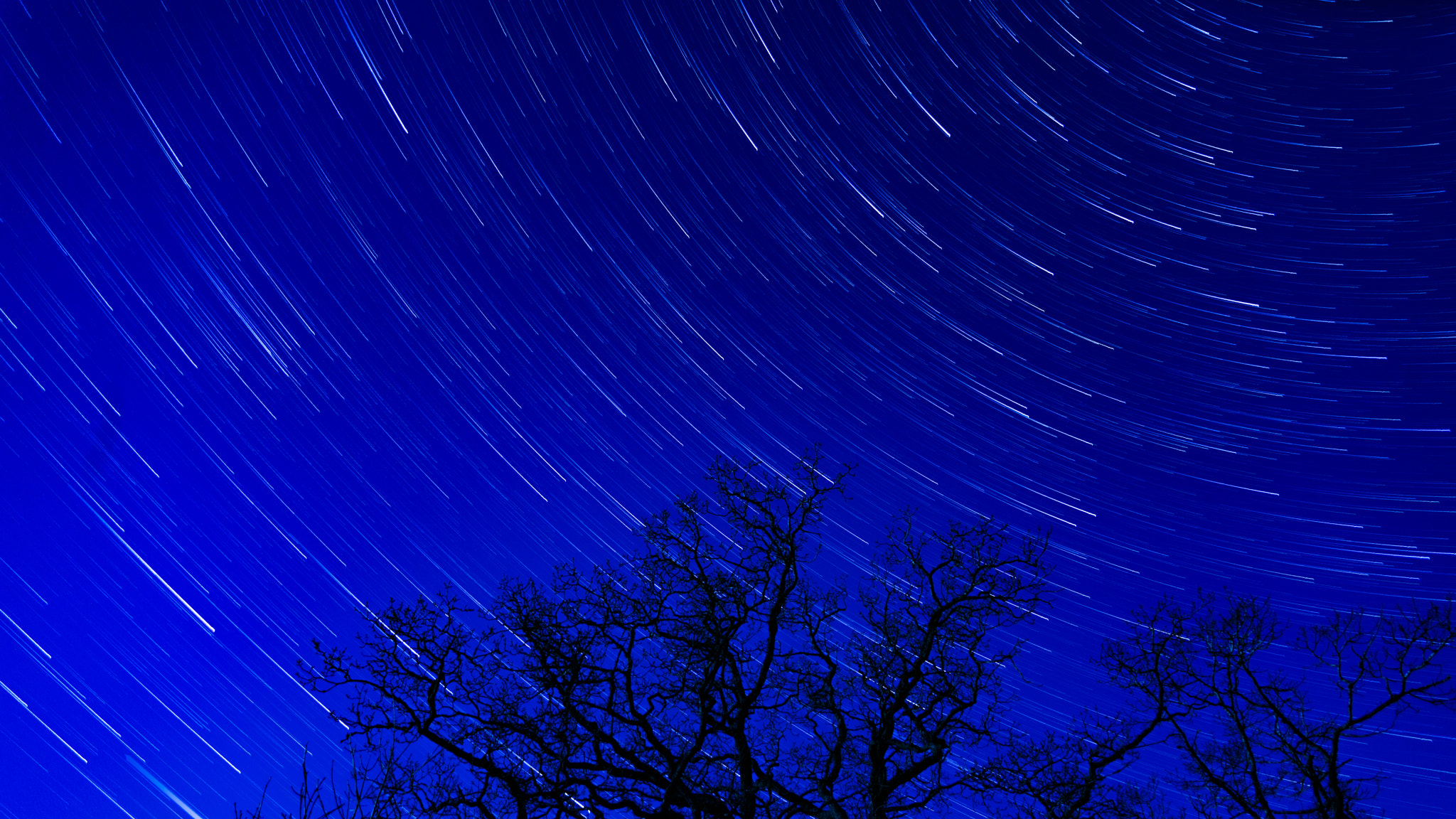 Nikon D800E sample photo. Blue night startrails photography