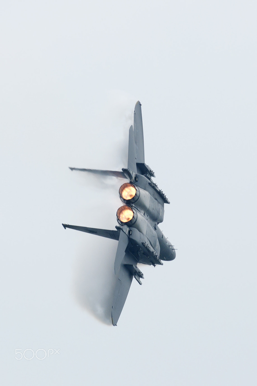 Nikon D90 + Nikon AF-S Nikkor 300mm F4D ED-IF sample photo. Edited photography