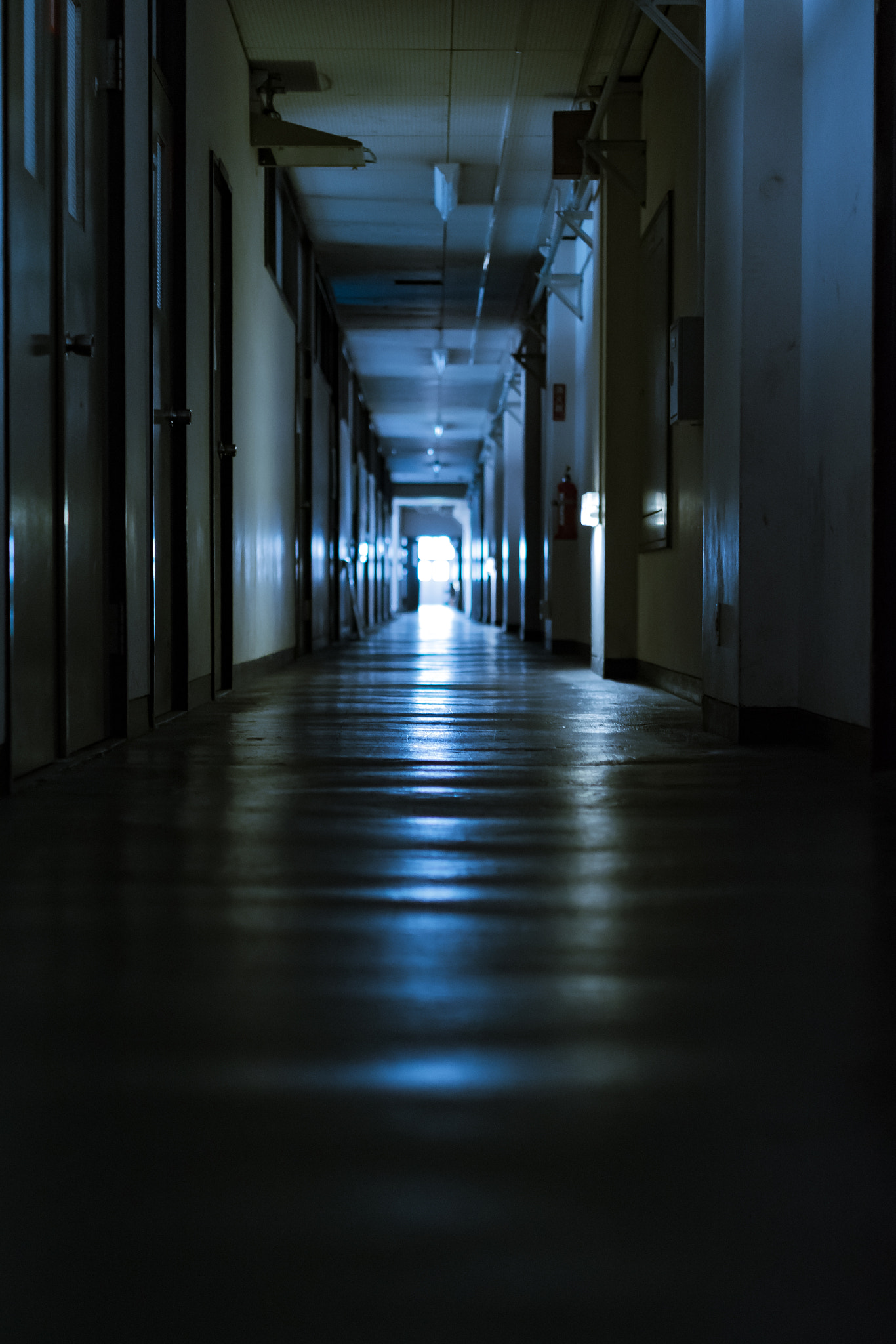 Nikon D5300 + Sigma 35mm F1.4 DG HSM Art sample photo. Toward the light photography