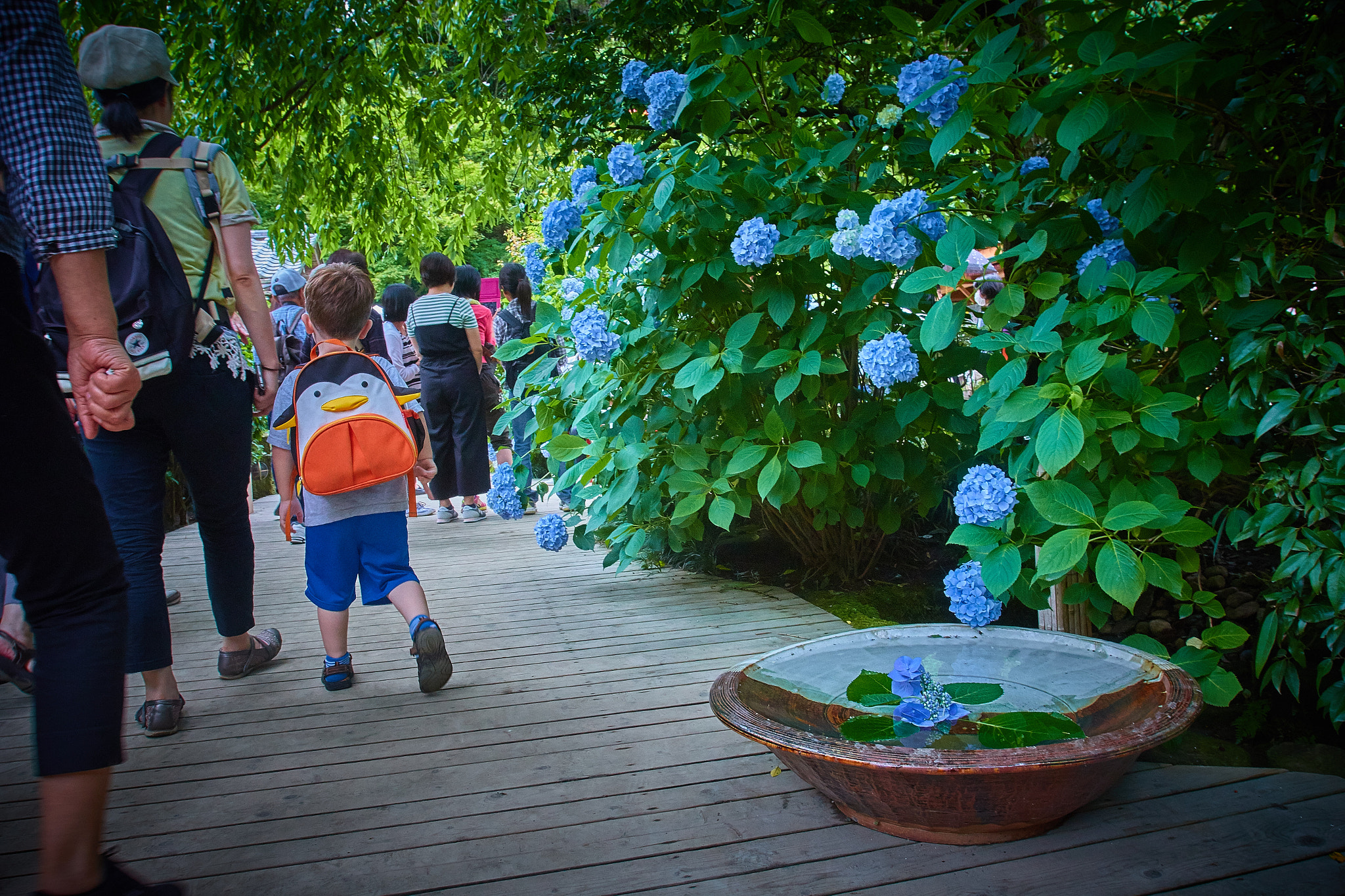 Canon EOS 70D + Canon EF 16-35mm F2.8L USM sample photo. My bag photography