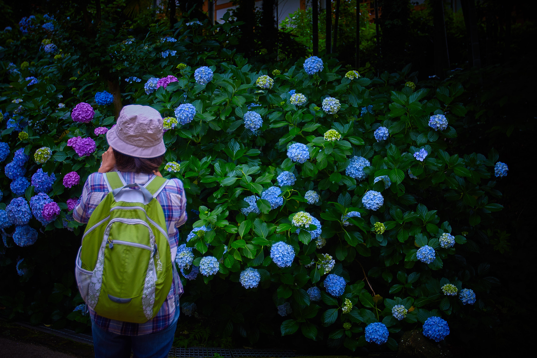 Canon EOS 70D + Canon EF 16-35mm F2.8L USM sample photo. Phtographer photography