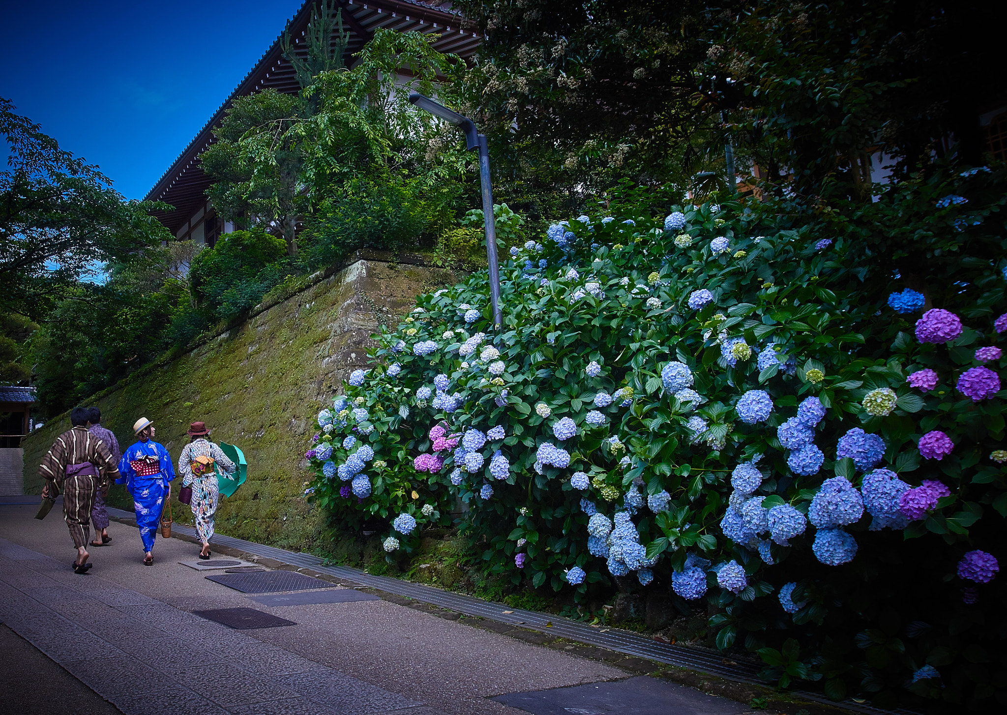 Canon EOS 70D + Canon EF 16-35mm F2.8L USM sample photo. Early summer photography