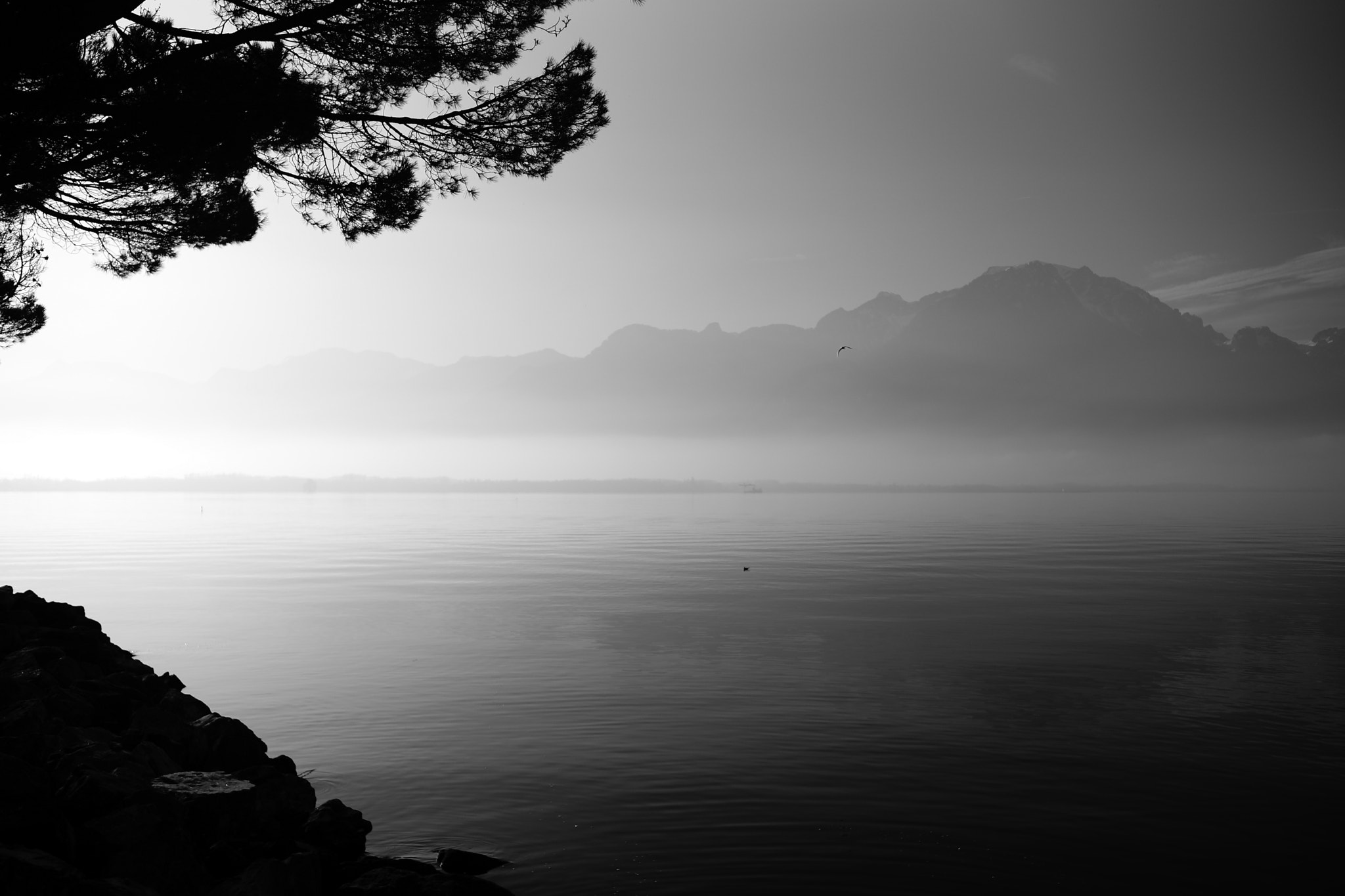 Sony a99 II + Sony 35mm F1.4 G sample photo. Lake geneva and alps, 2015-12-20 photography