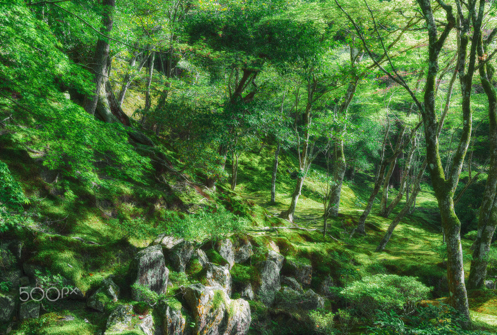 Canon EF 24-105mm F4L IS USM sample photo. Gardens of japan photography